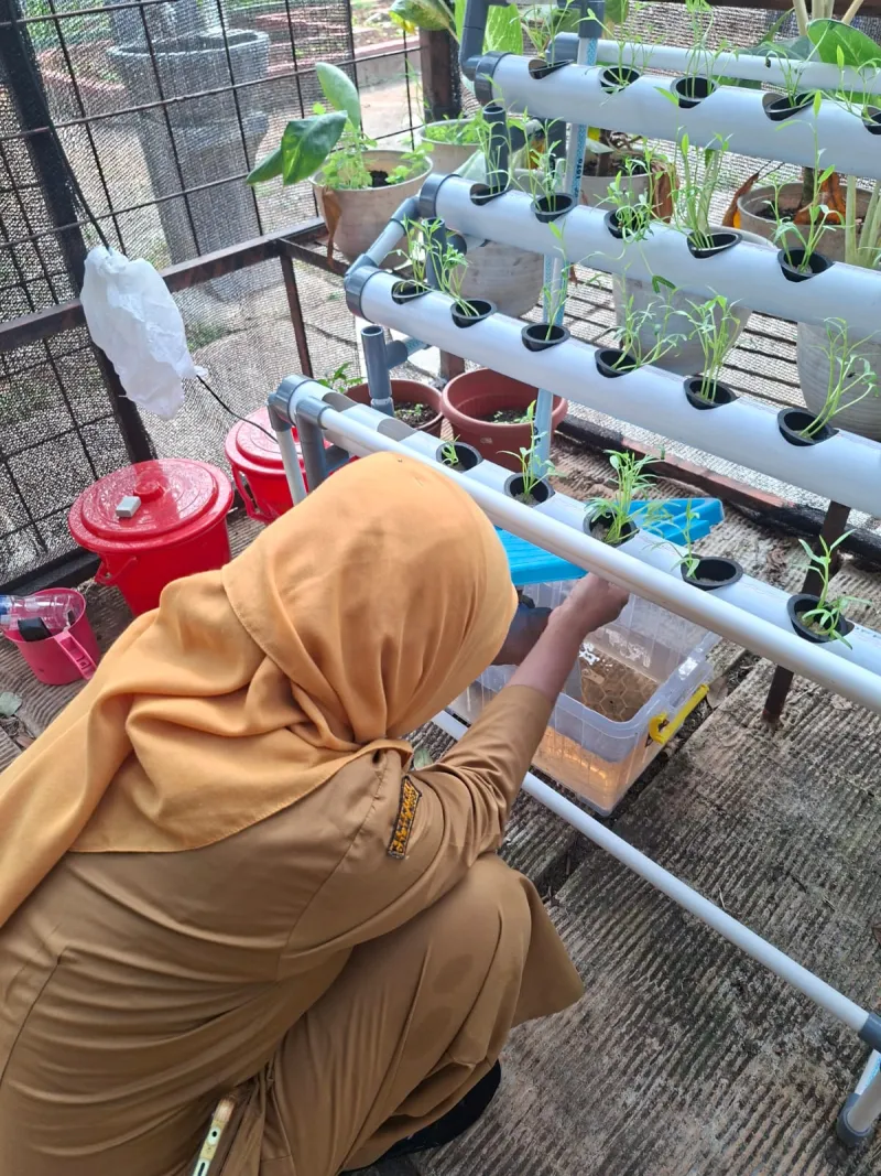 Lahan Urban Farming SMAN 109 Jakarta - Gambar 230