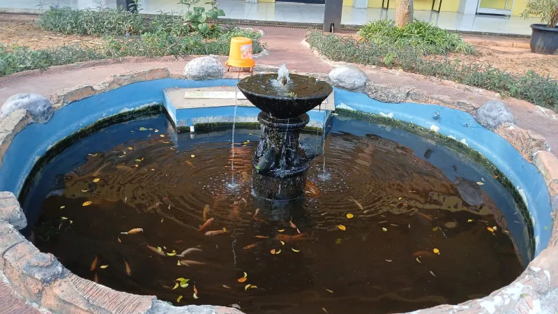 Lahan Urban Farming SMAN 109 Jakarta - Gambar 231