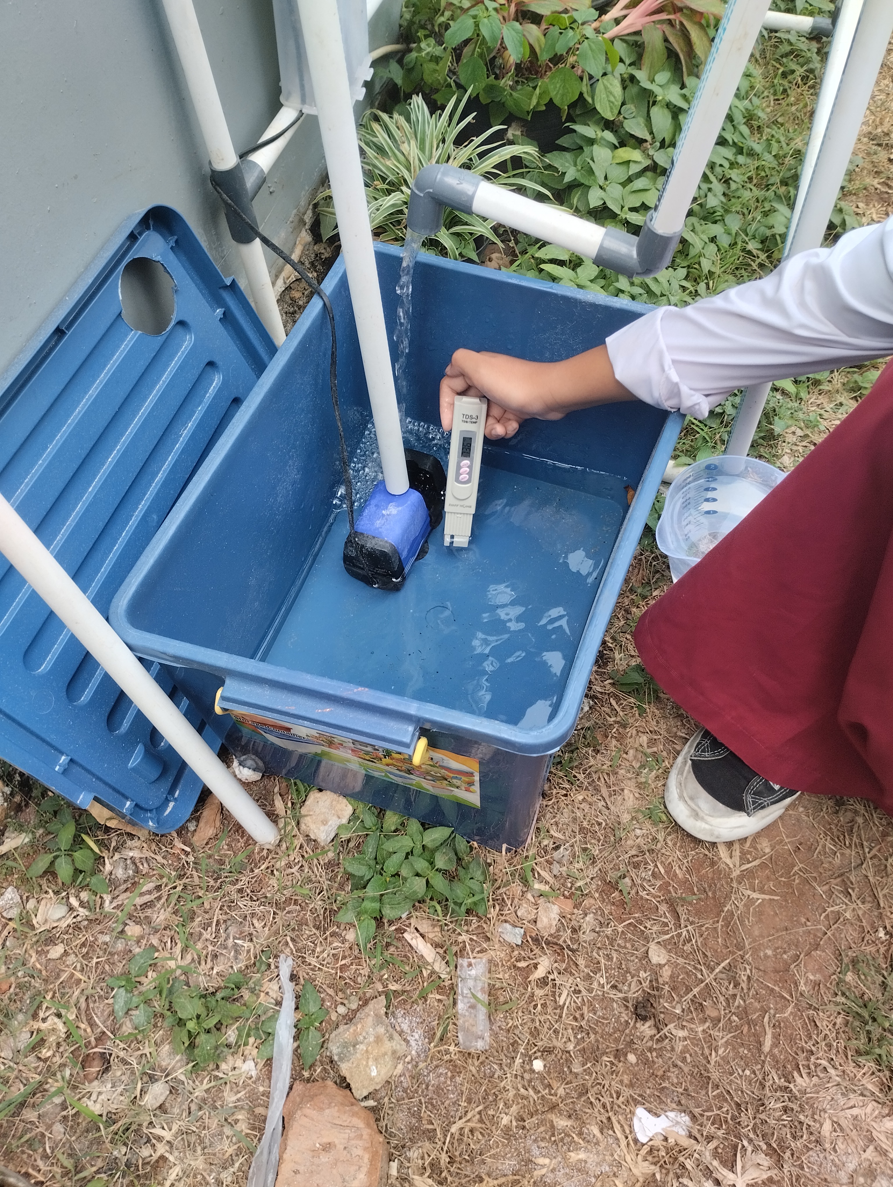 Lahan Urban Farming SDN Cipete Selatan 03 - Gambar 120