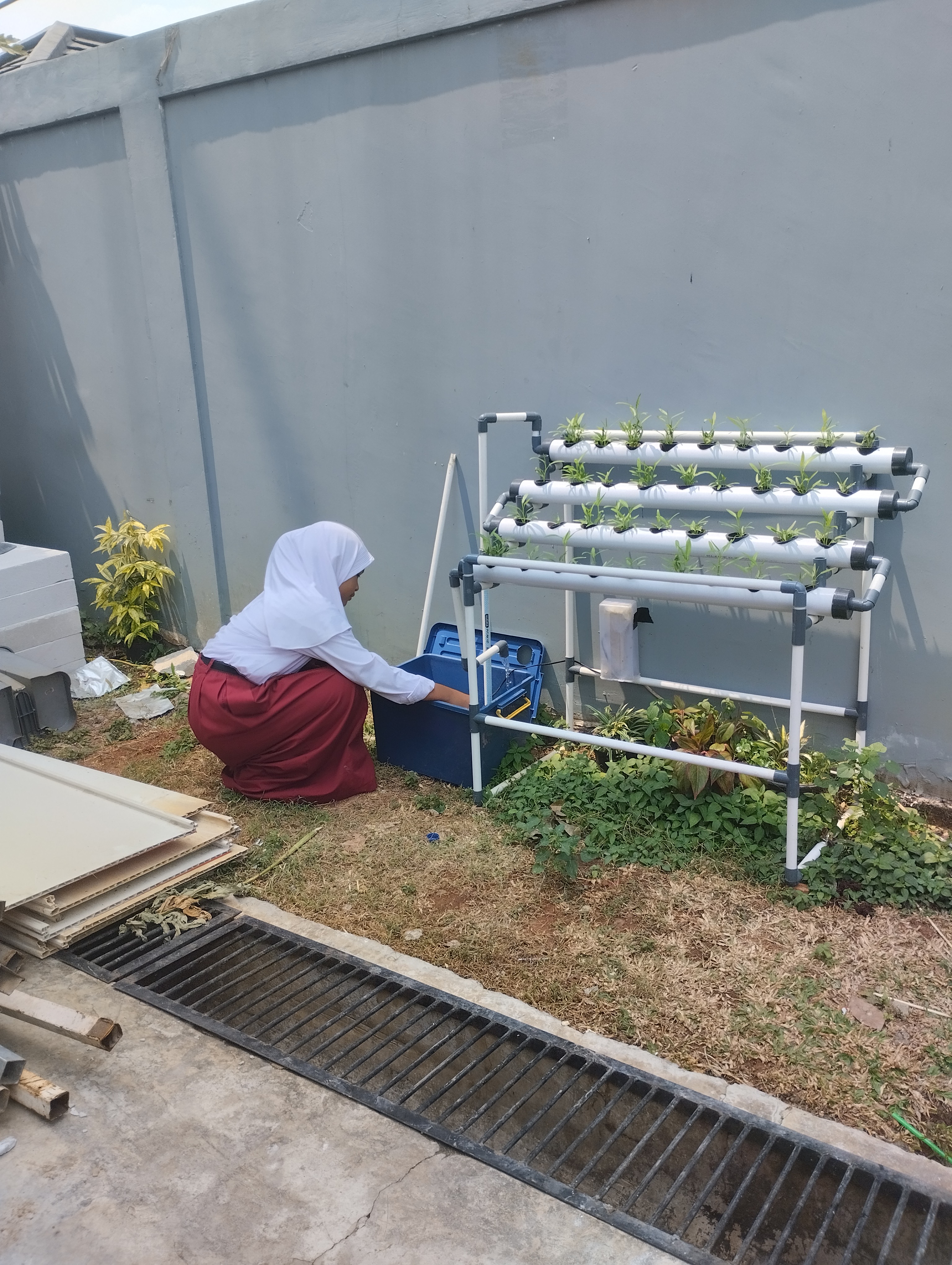 Lahan Urban Farming SDN Cipete Selatan 03 - Gambar 118
