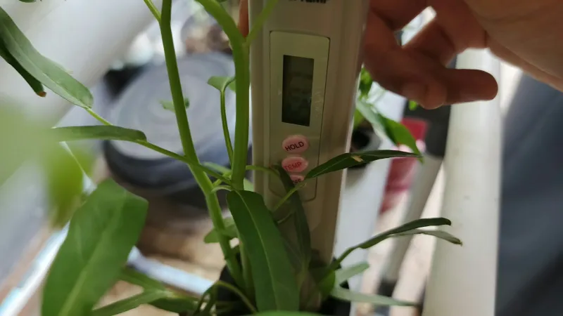 Lahan Urban Farming SMKN 41 Jakarta - Gambar 73