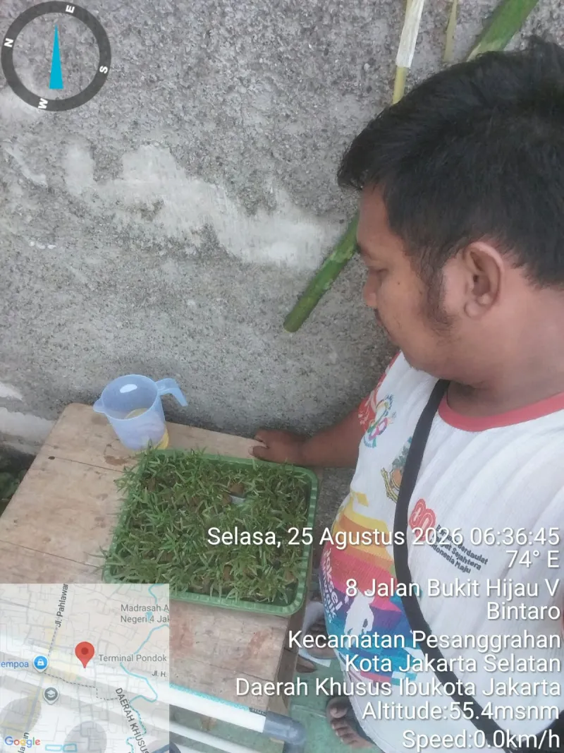 Lahan Urban Farming SDN Bintaro 09 - Gambar 180