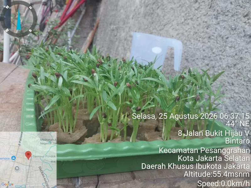 Lahan Urban Farming SDN Bintaro 09 - Gambar 181