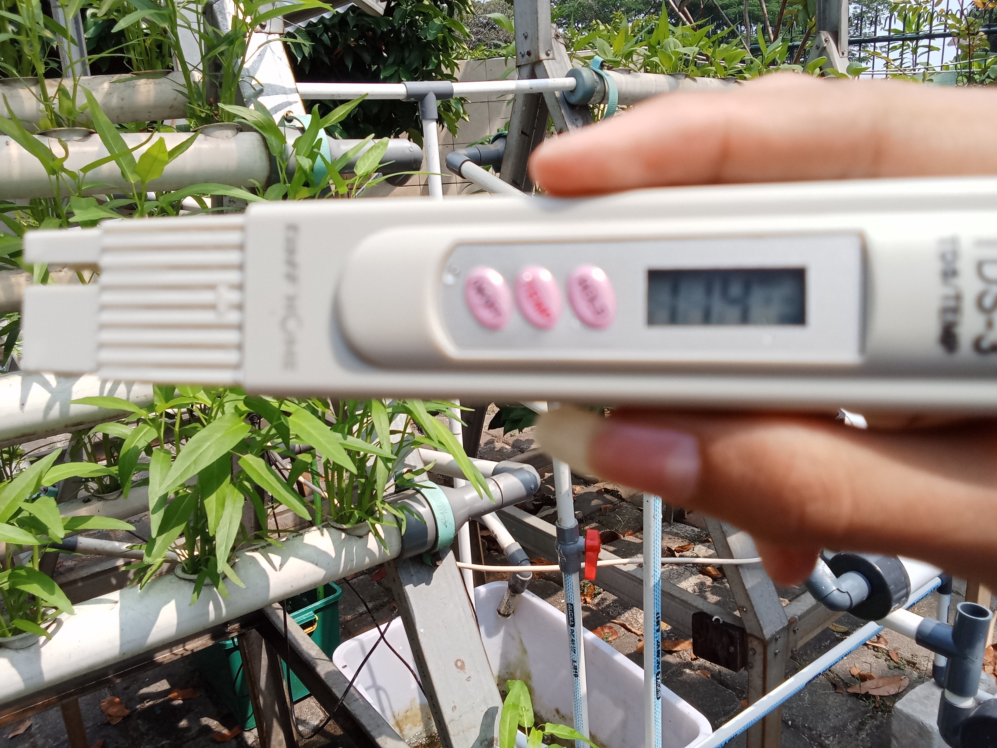 Lahan Urban Farming SMKN 59 Jakarta - Gambar 238