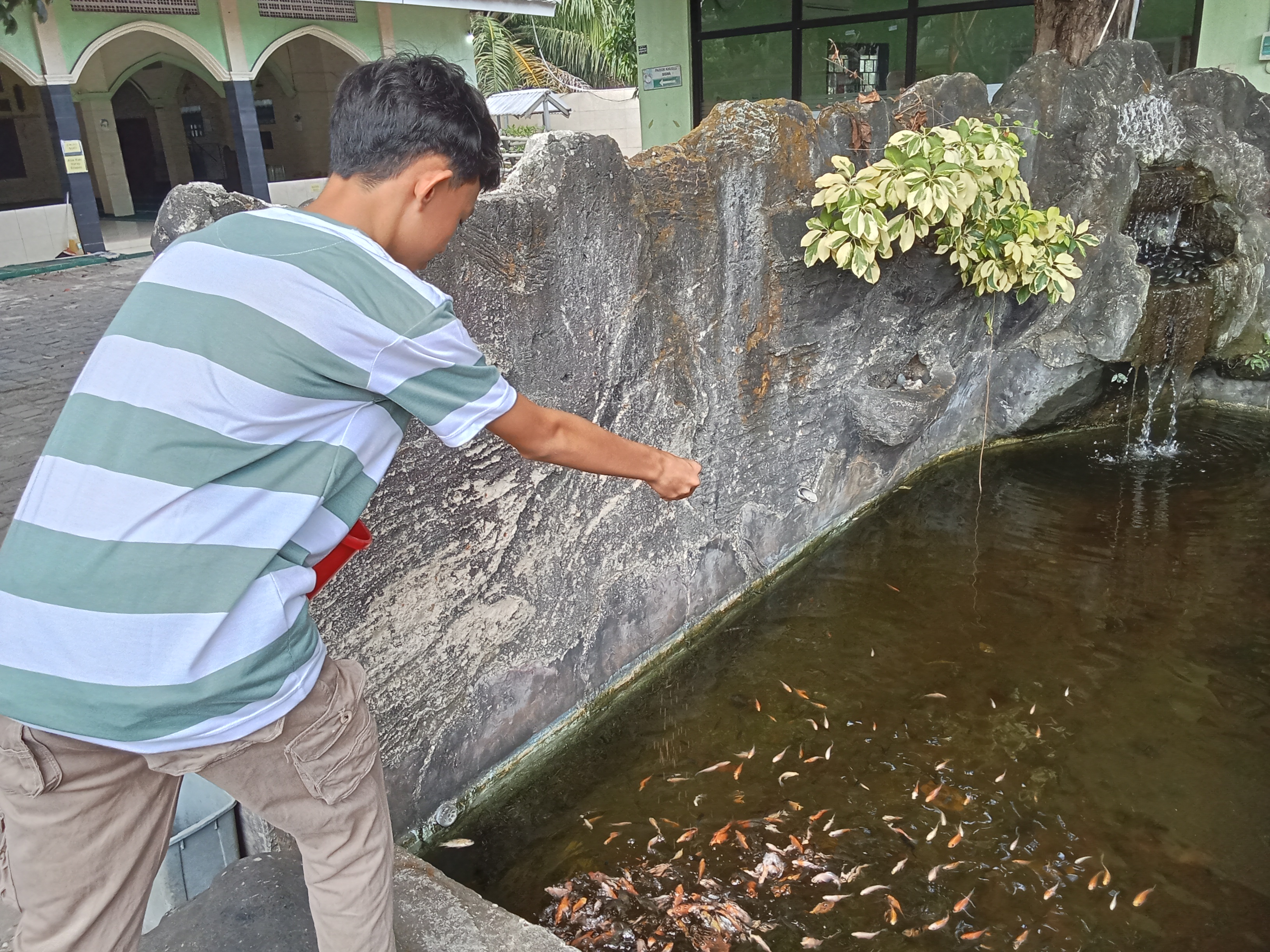 Lahan Urban Farming SMKN 59 Jakarta - Gambar 237