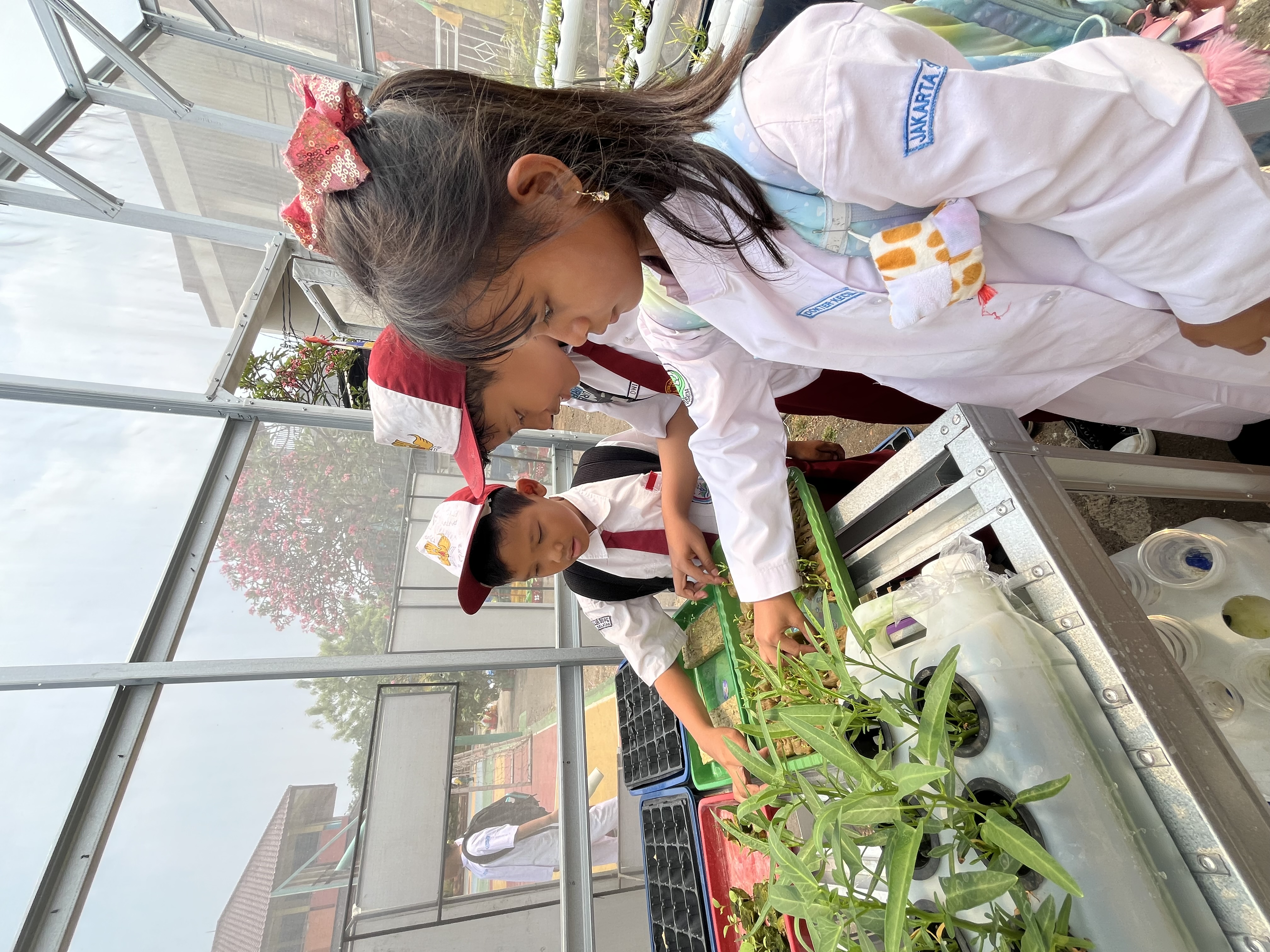 Lahan Urban Farming SDN Cipulir 03 - Gambar 81
