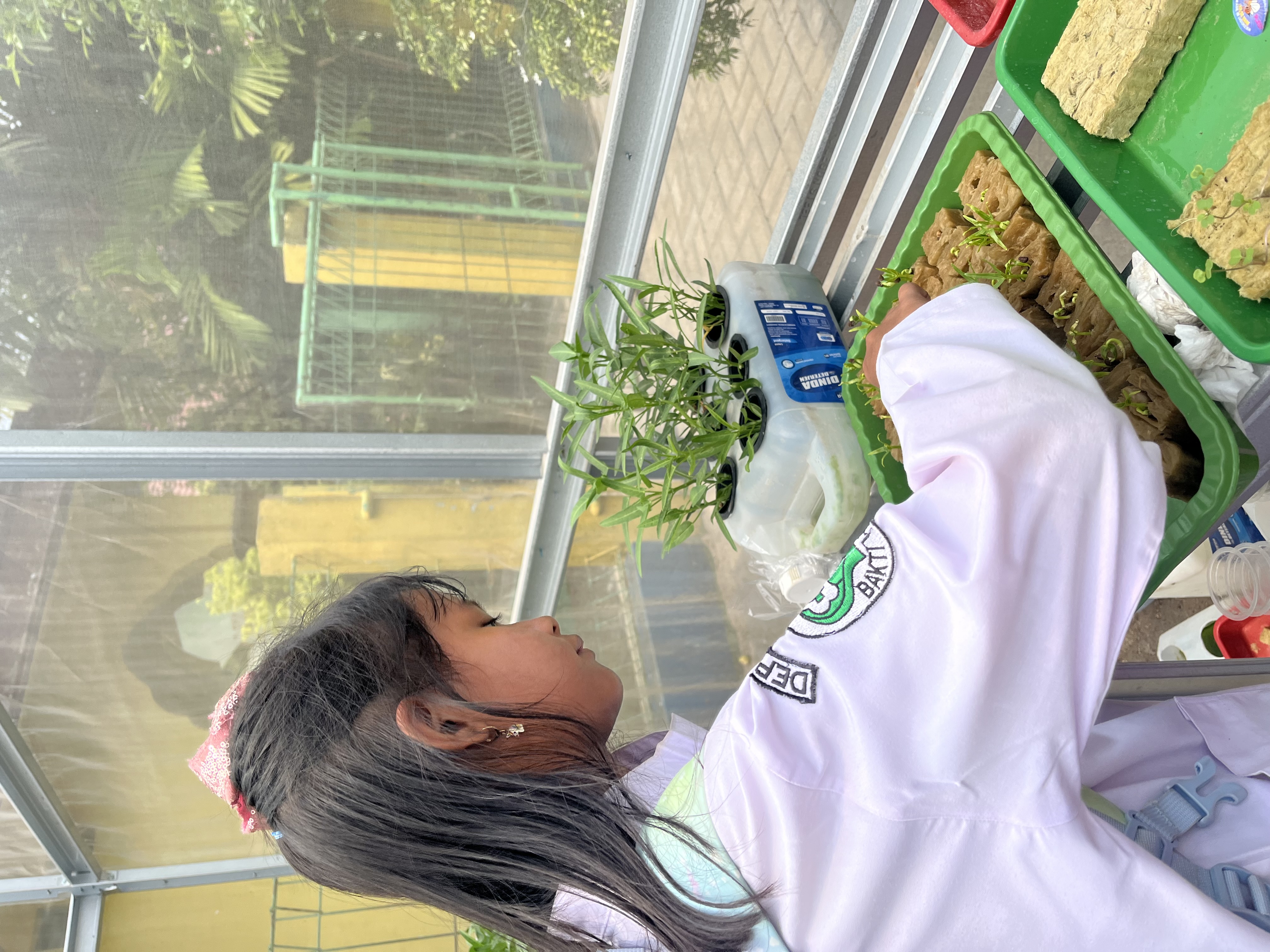Lahan Urban Farming SDN Cipulir 03 - Gambar 79