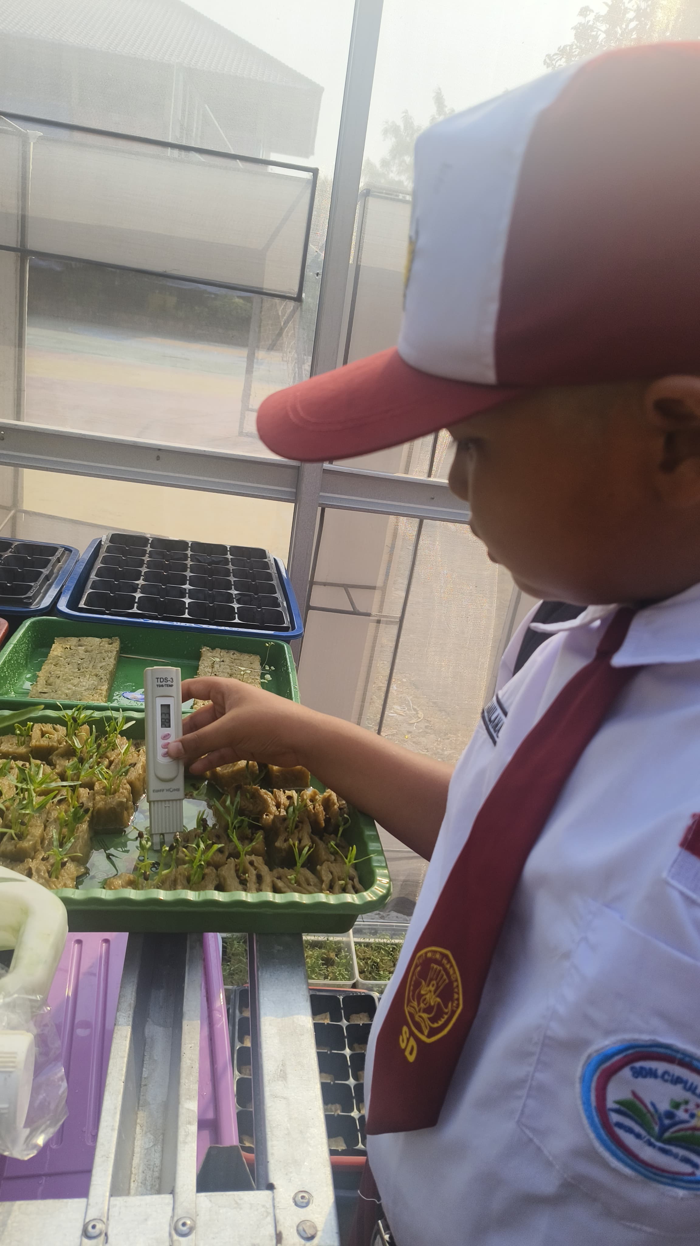 Lahan Urban Farming SDN Cipulir 03 - Gambar 84