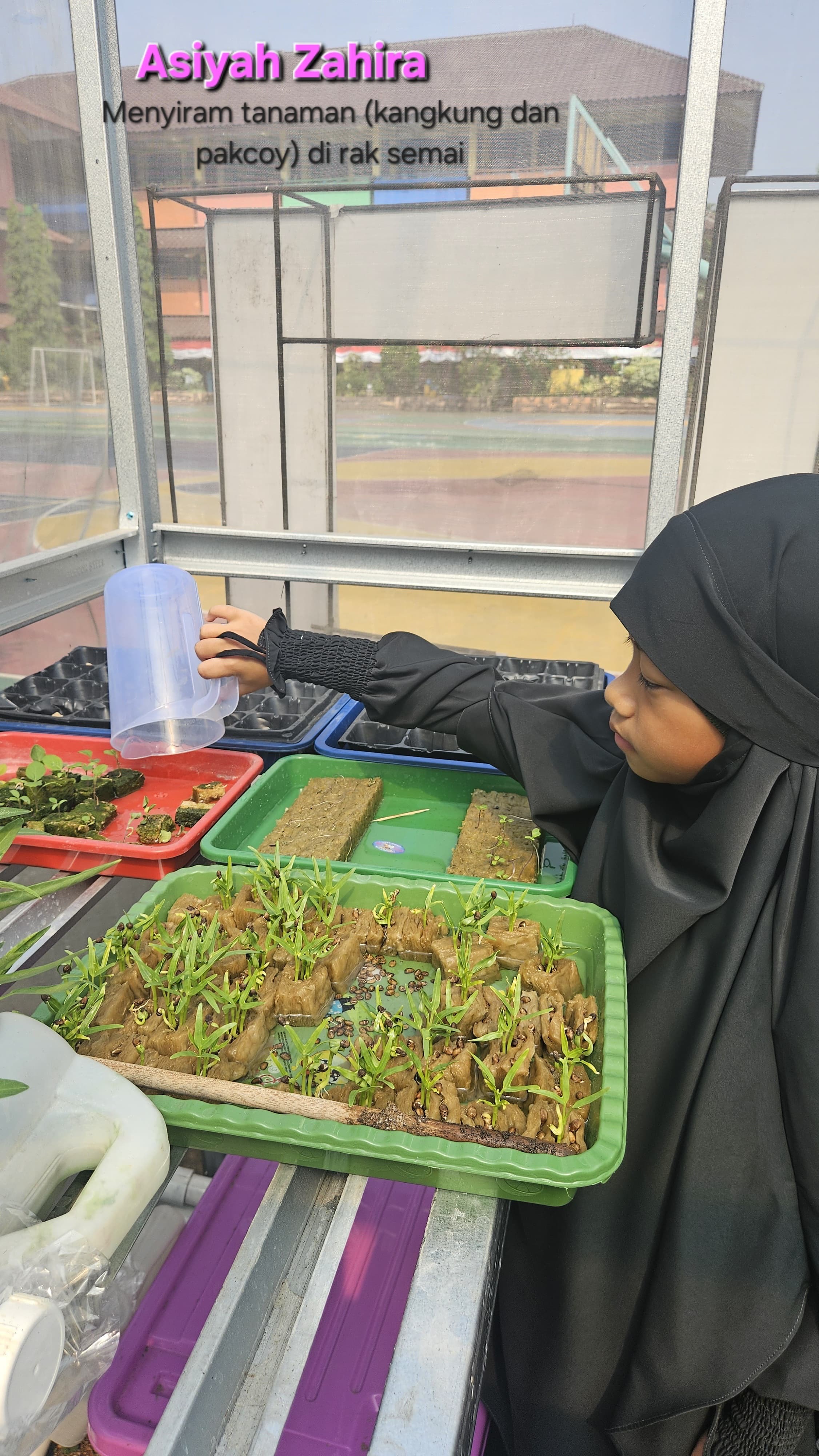 Lahan Urban Farming SDN Cipulir 03 - Gambar 86