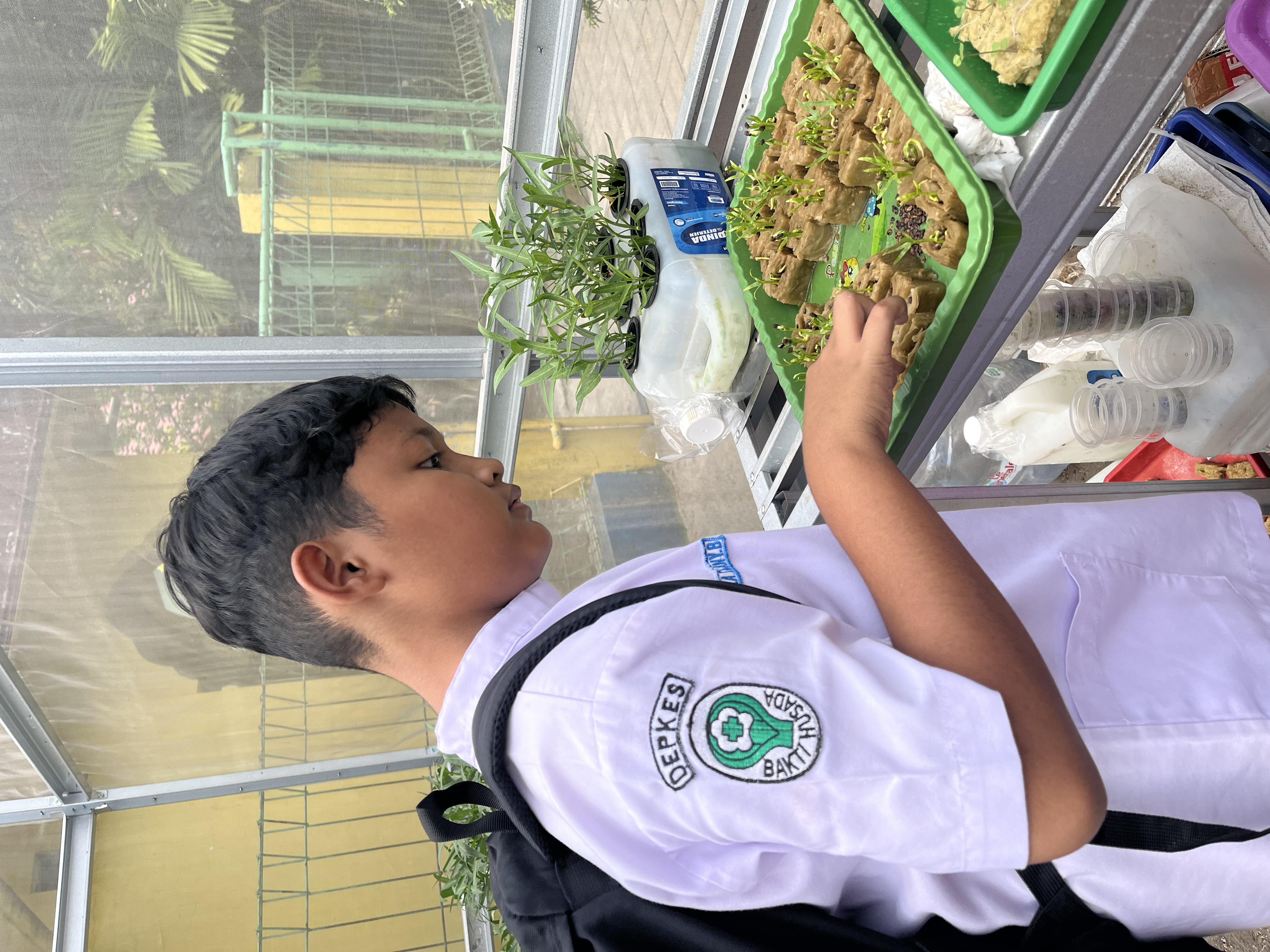 Lahan Urban Farming SDN Cipulir 03 - Gambar 78
