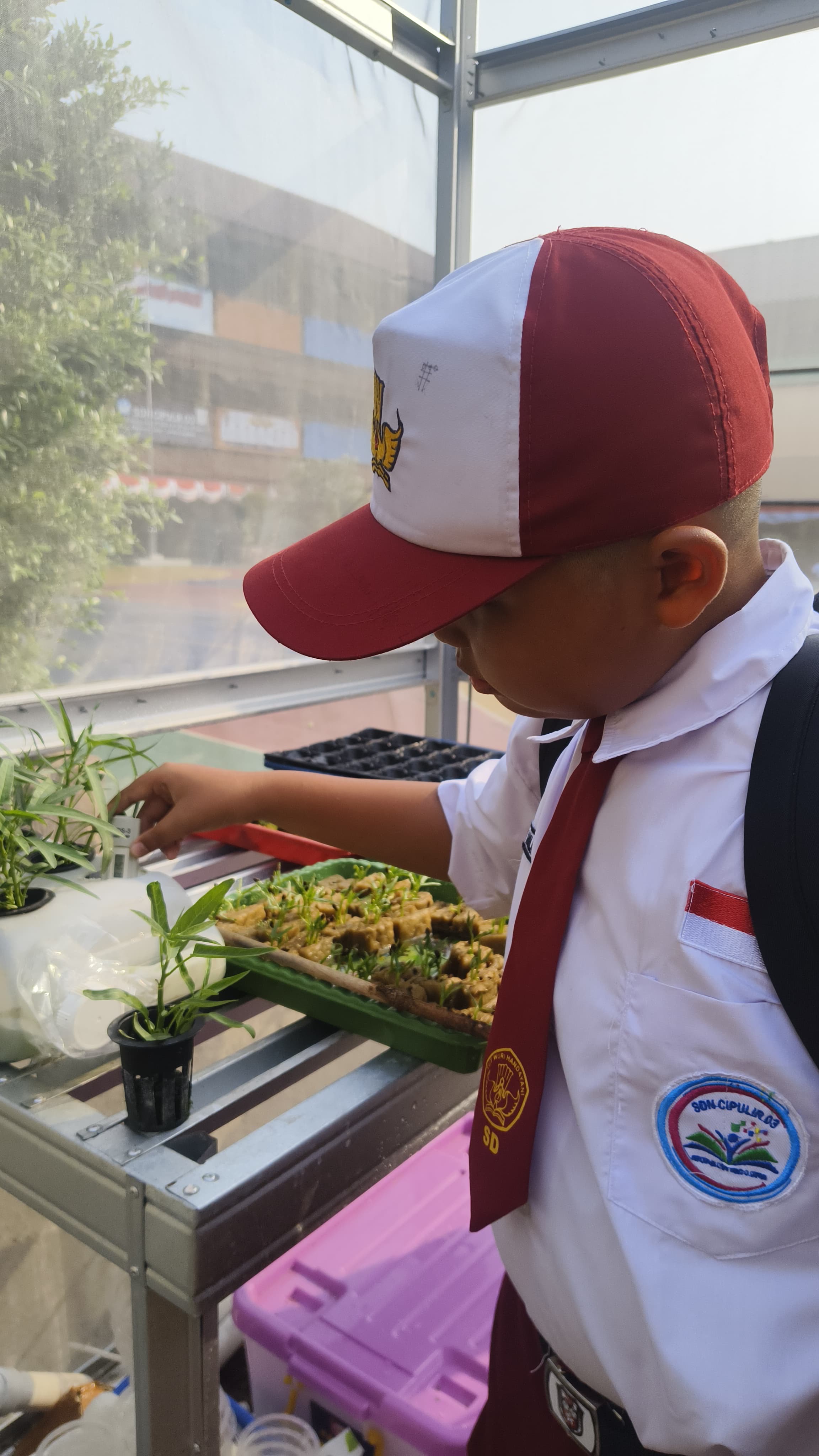 Lahan Urban Farming SDN Cipulir 03 - Gambar 85