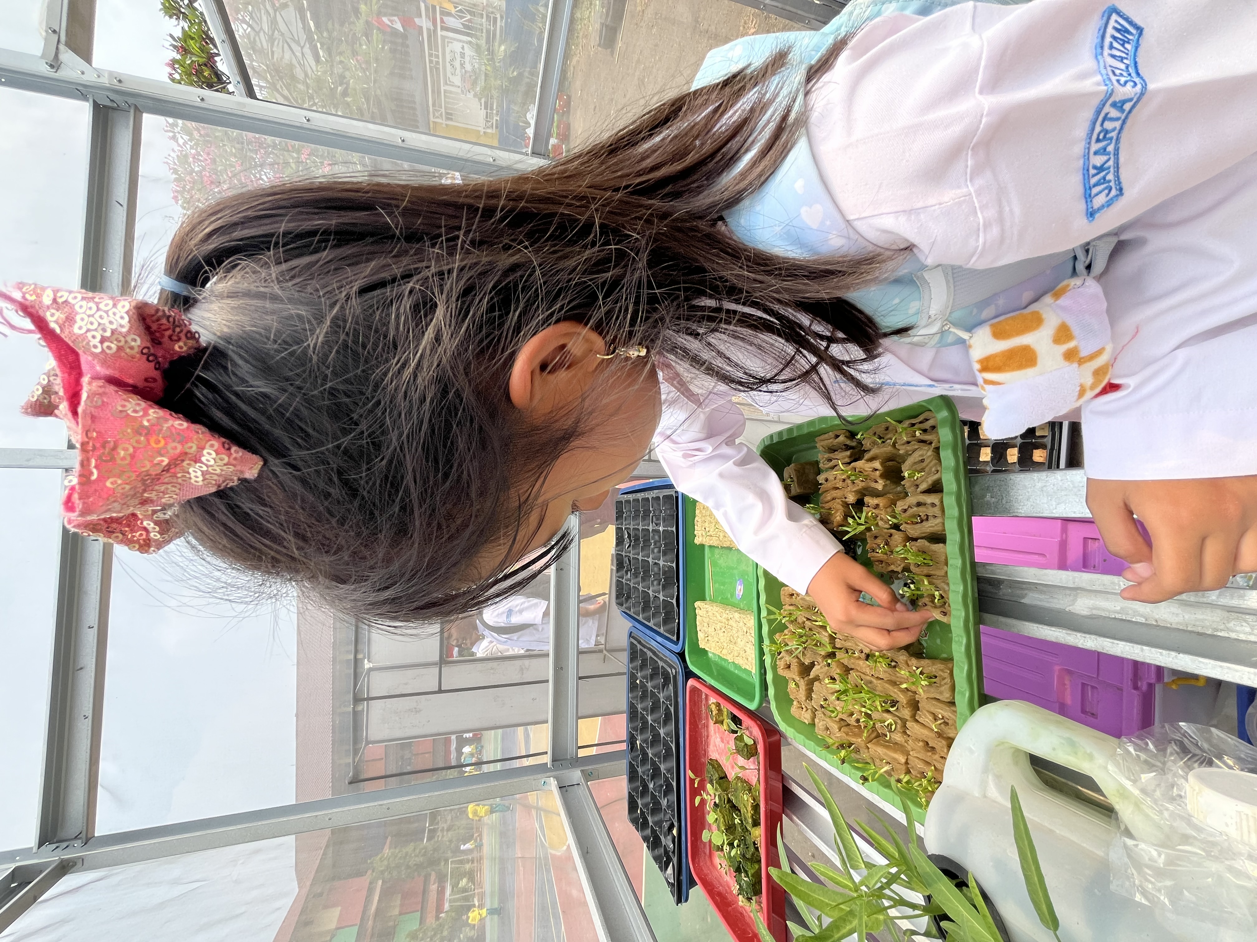 Lahan Urban Farming SDN Cipulir 03 - Gambar 80
