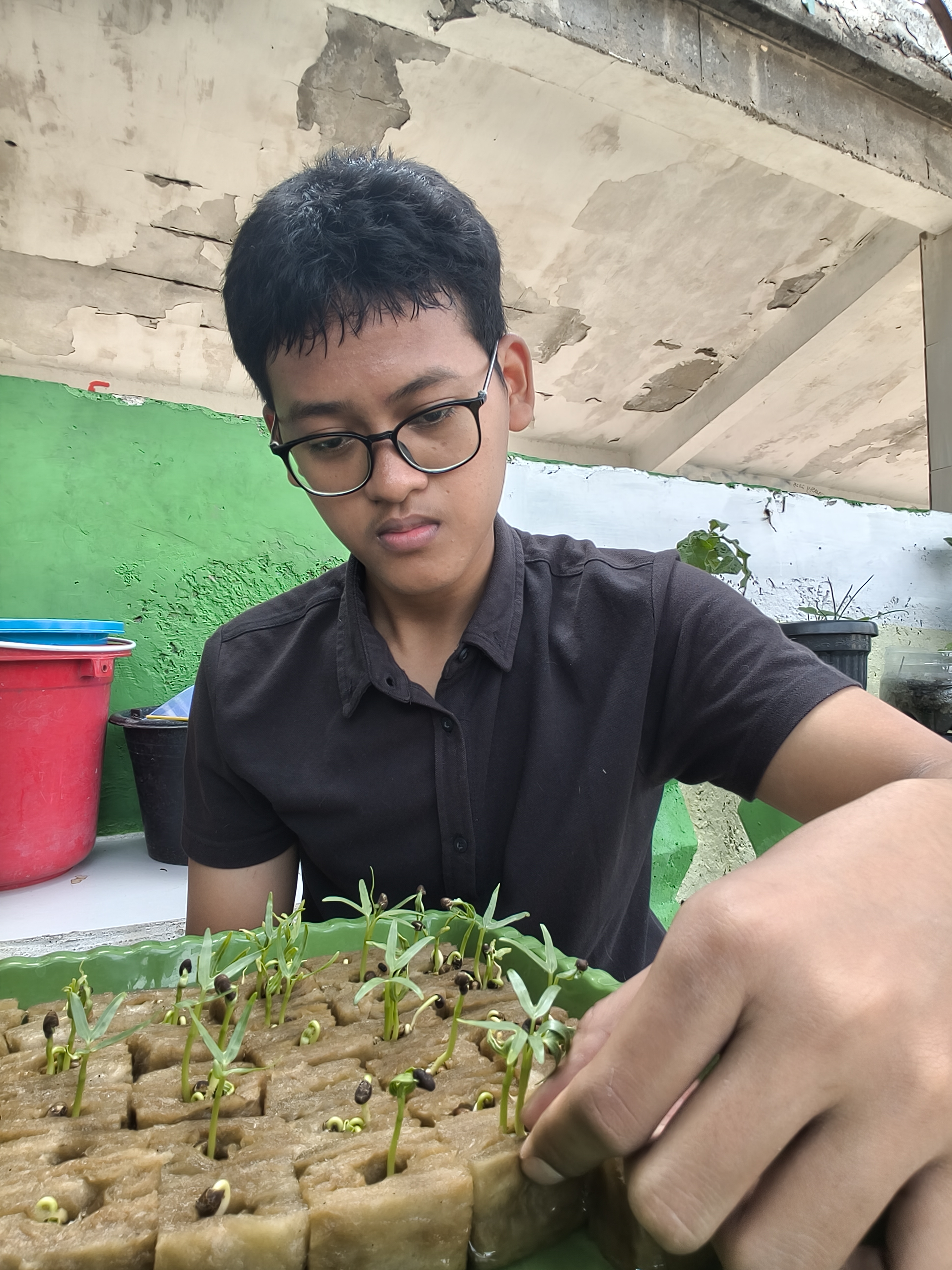 Lahan Urban Farming SMKN 43 Jakarta - Gambar 204