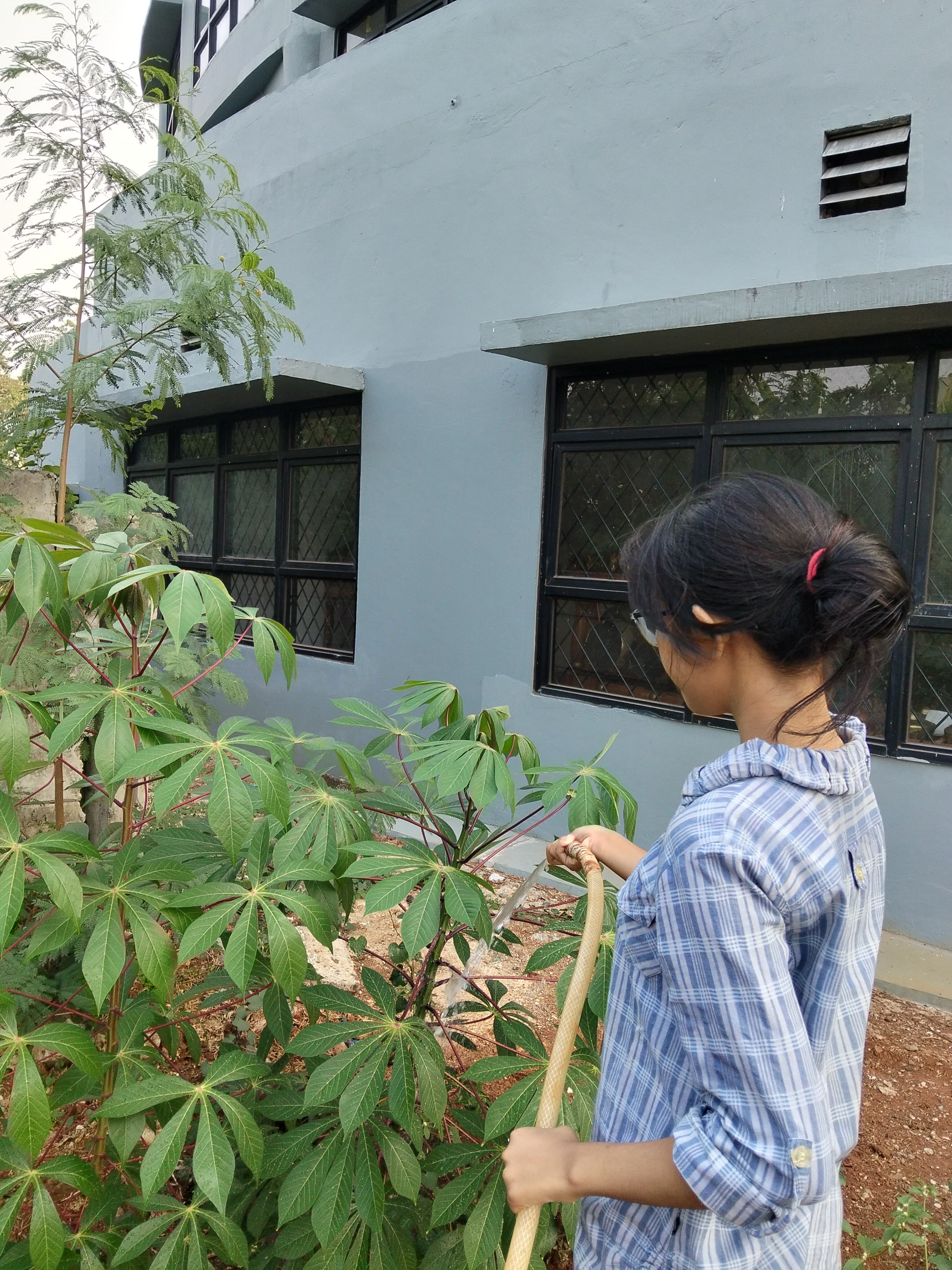 KEBUN SMKN 74 JAGAKARSA JAKARTA SELATAN - Gambar 319