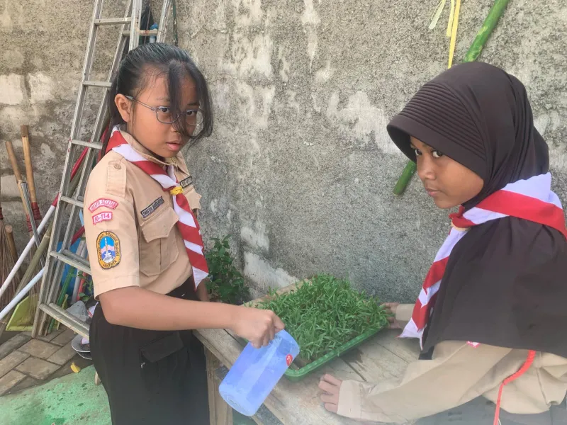Lahan Urban Farming SDN Bintaro 09 - Gambar 178