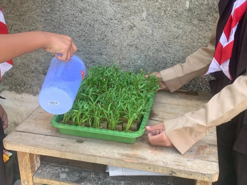 Lahan Urban Farming SDN Bintaro 09 - Gambar 179