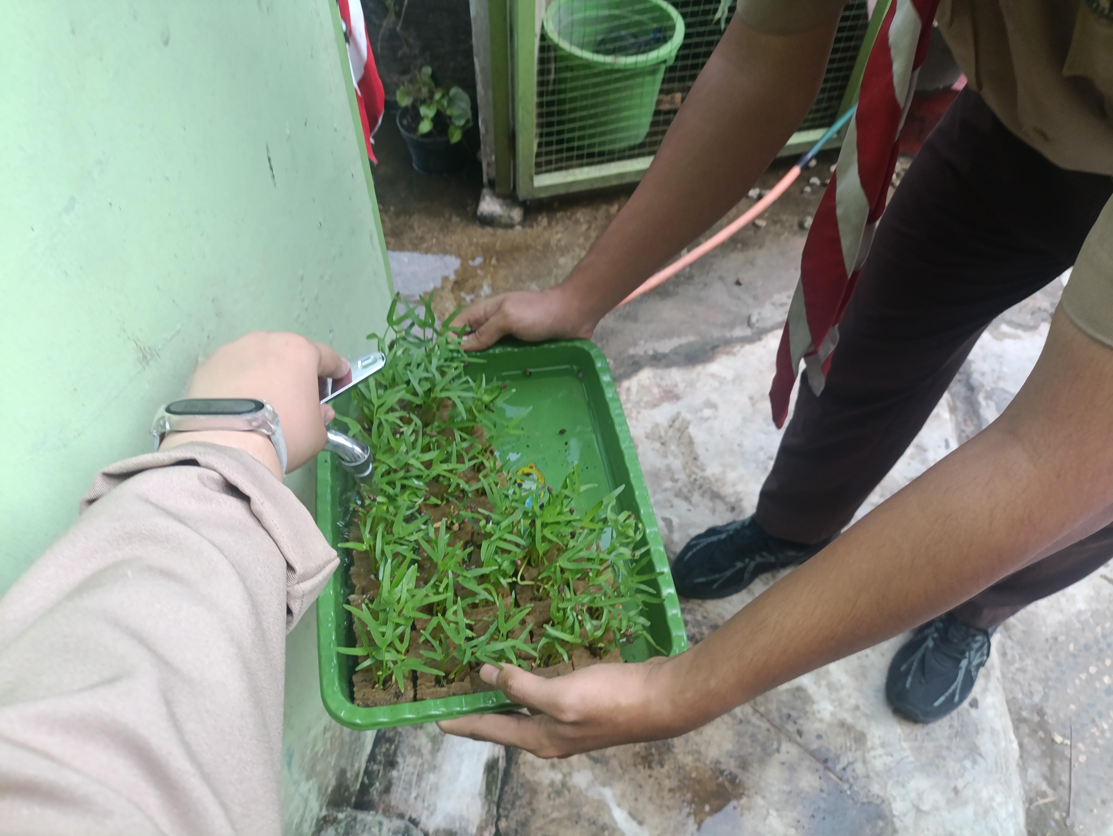 Lahan Urban Farming SMAN 63 Jakarta - Gambar 94