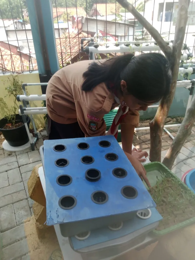 Lahan Urban Farming SMKN 43 Jakarta - Gambar 201