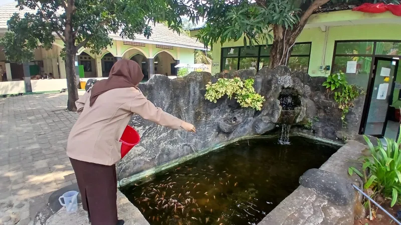 Lahan Urban Farming SMKN 59 Jakarta - Gambar 236