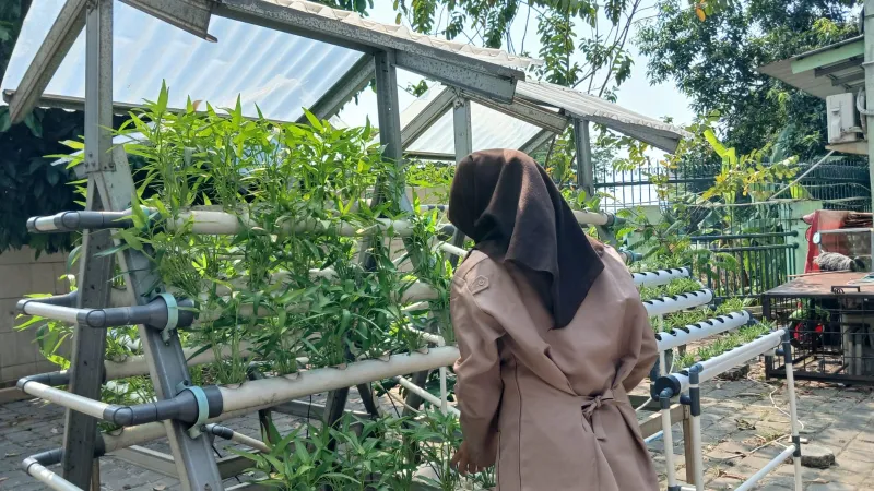 Lahan Urban Farming SMKN 59 Jakarta - Gambar 233