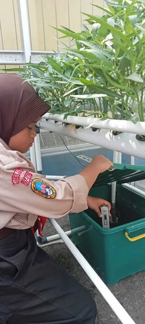 Lahan Urban Farming SDN Cipulir 03 - Gambar 76