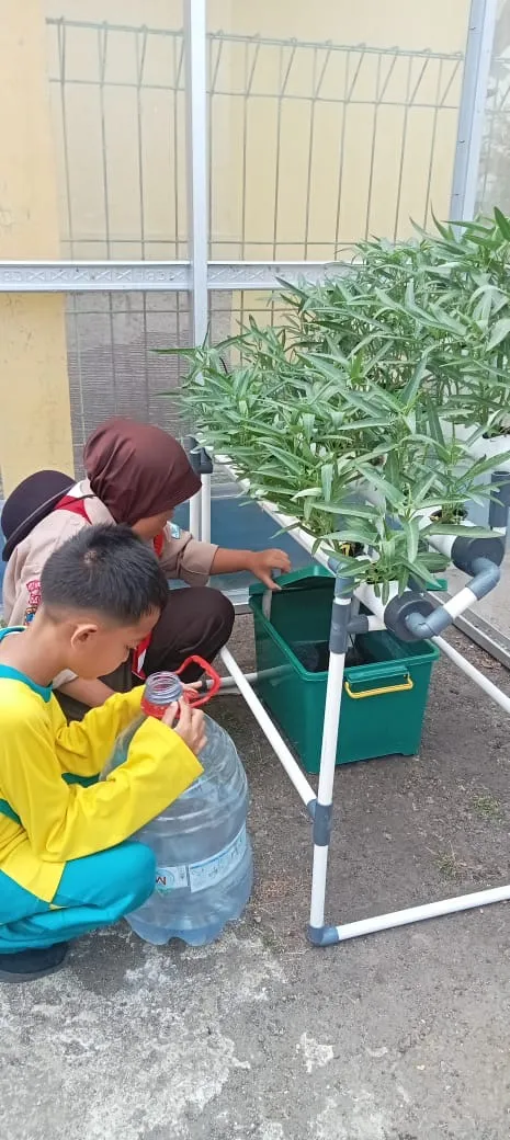 Lahan Urban Farming SDN Cipulir 03 - Gambar 75