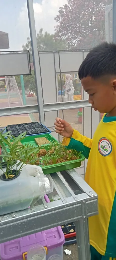 Lahan Urban Farming SDN Cipulir 03 - Gambar 74