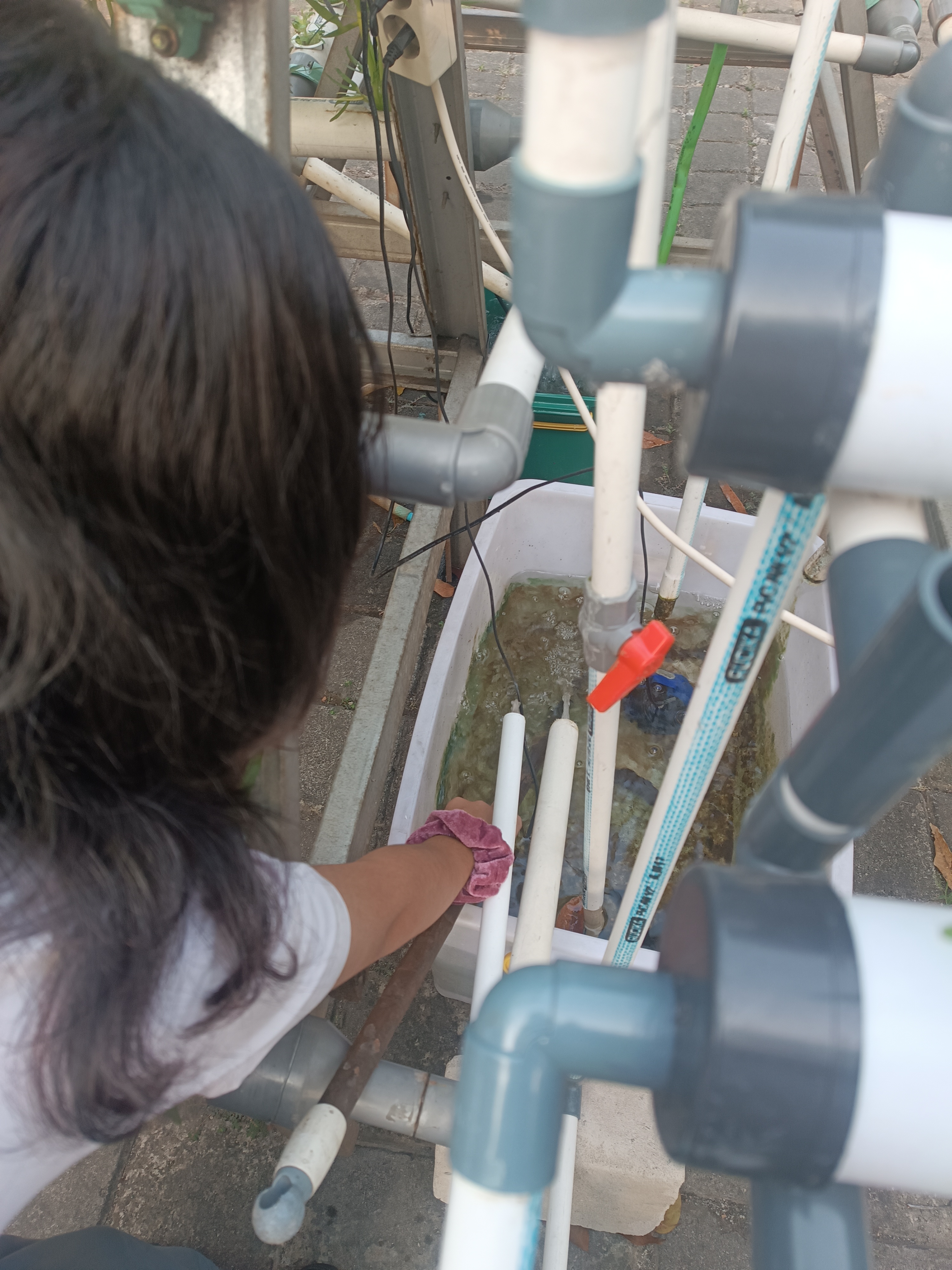 Lahan Urban Farming SMKN 59 Jakarta - Gambar 232