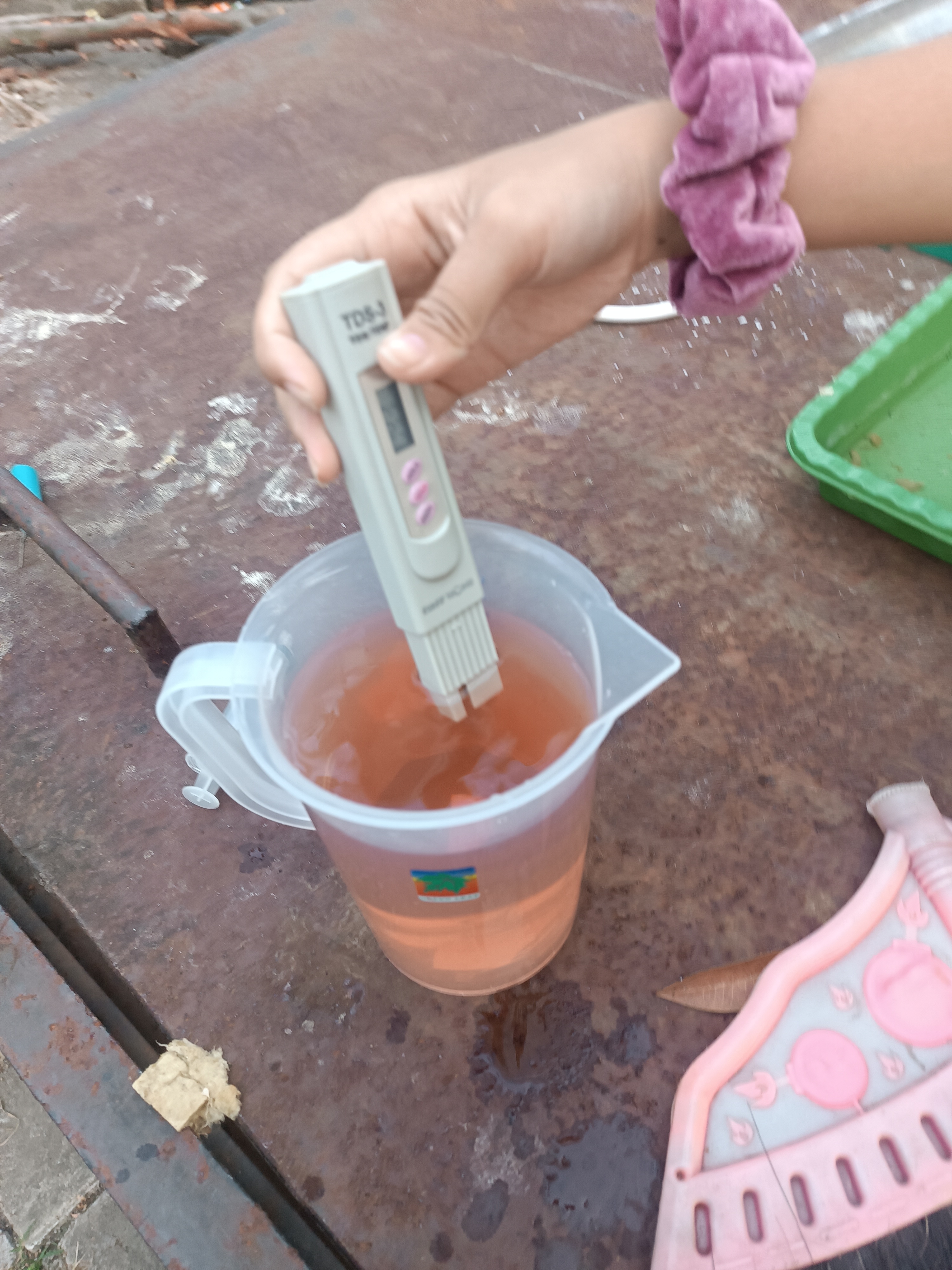 Lahan Urban Farming SMKN 59 Jakarta - Gambar 230
