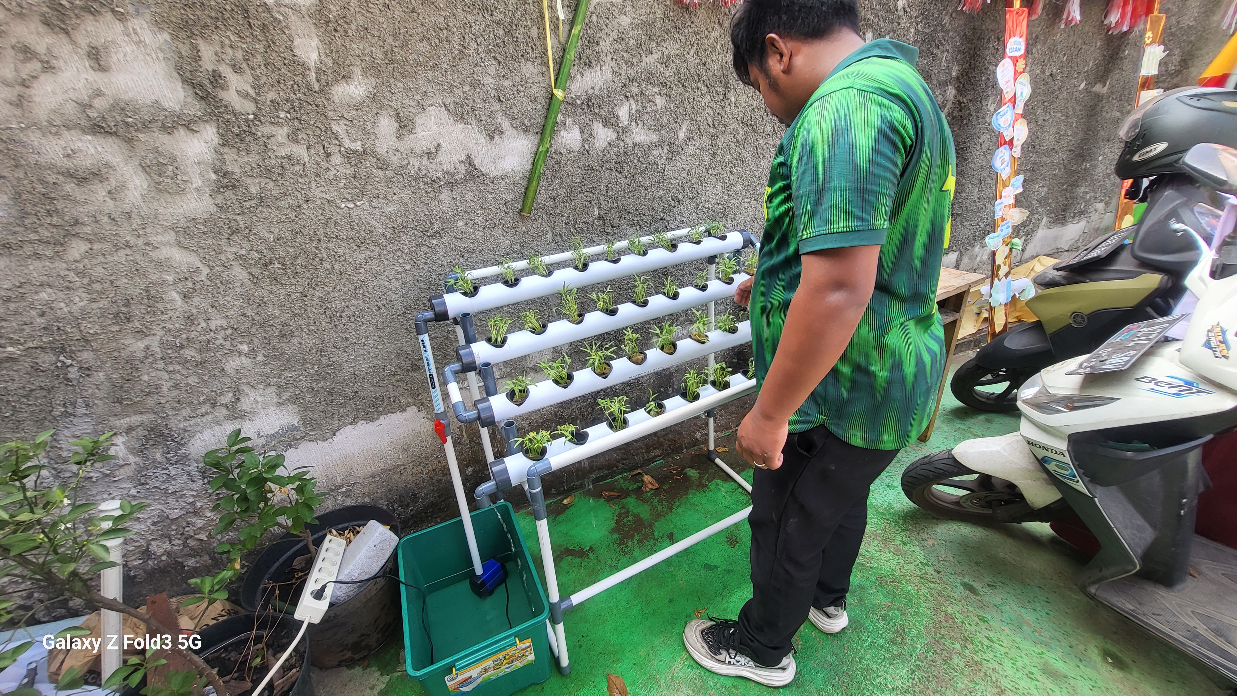 Lahan Urban Farming SDN Bintaro 09 - Gambar 171