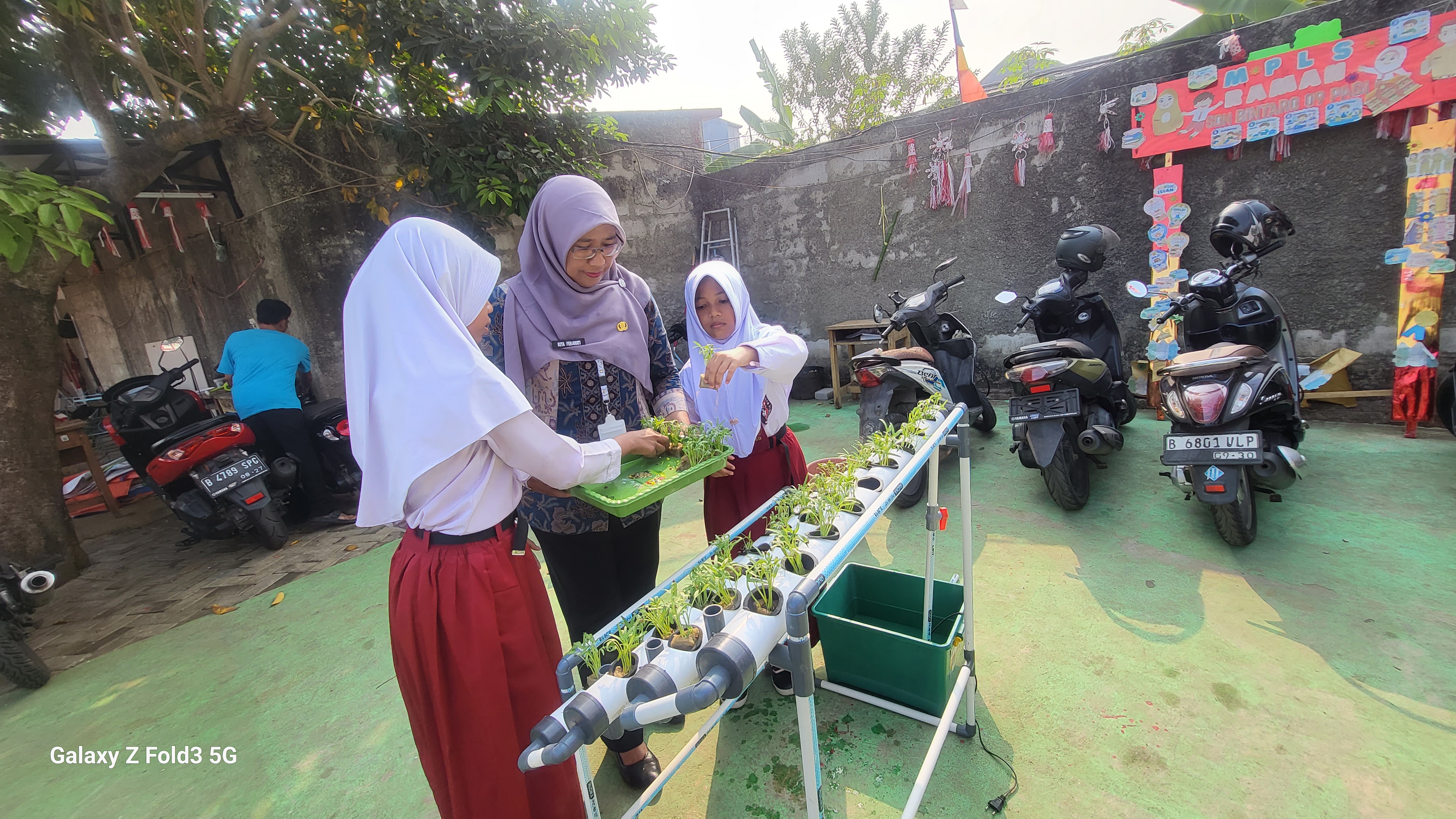 Lahan Urban Farming SDN Bintaro 09 - Gambar 172