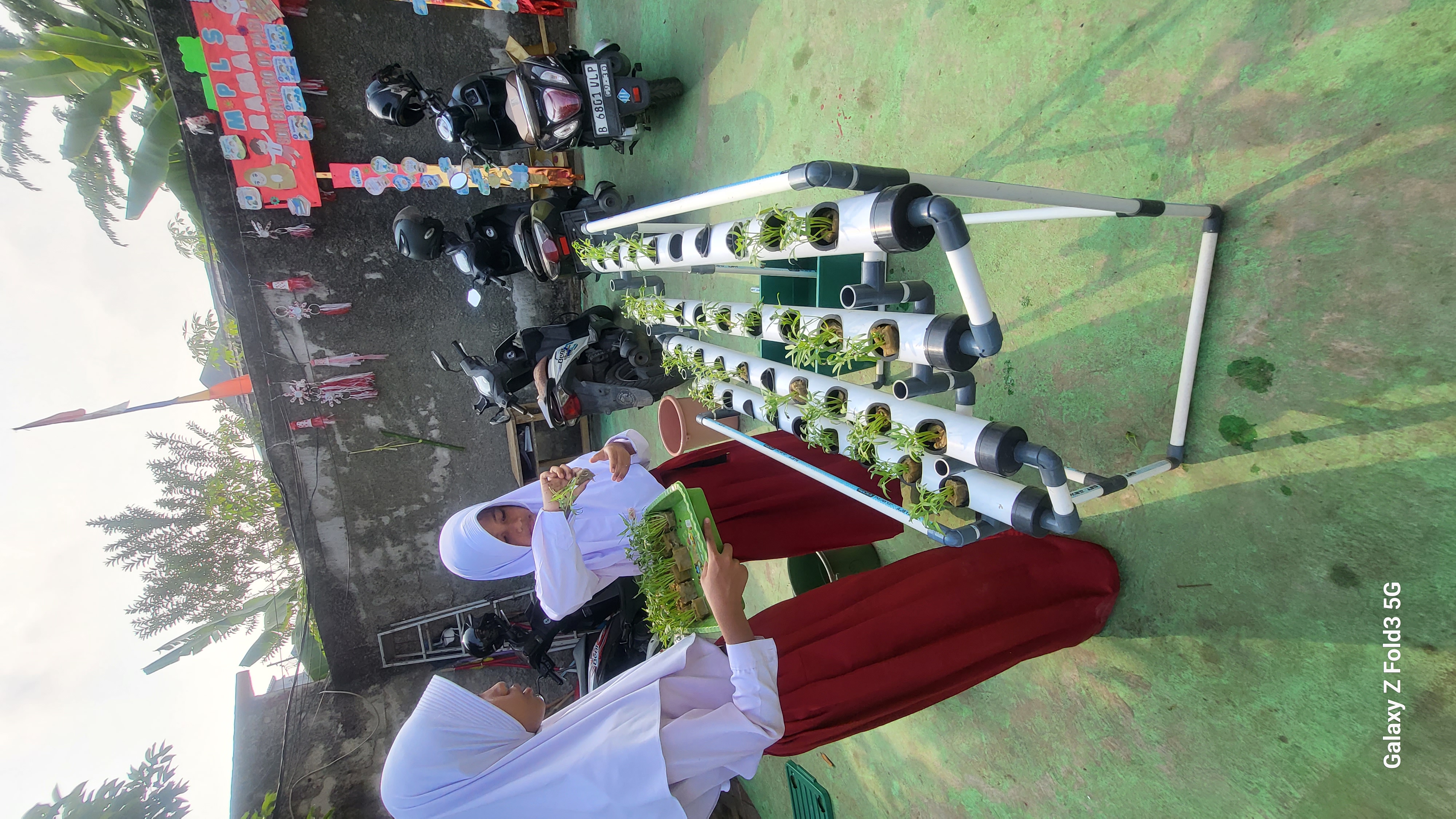Lahan Urban Farming SDN Bintaro 09 - Gambar 173