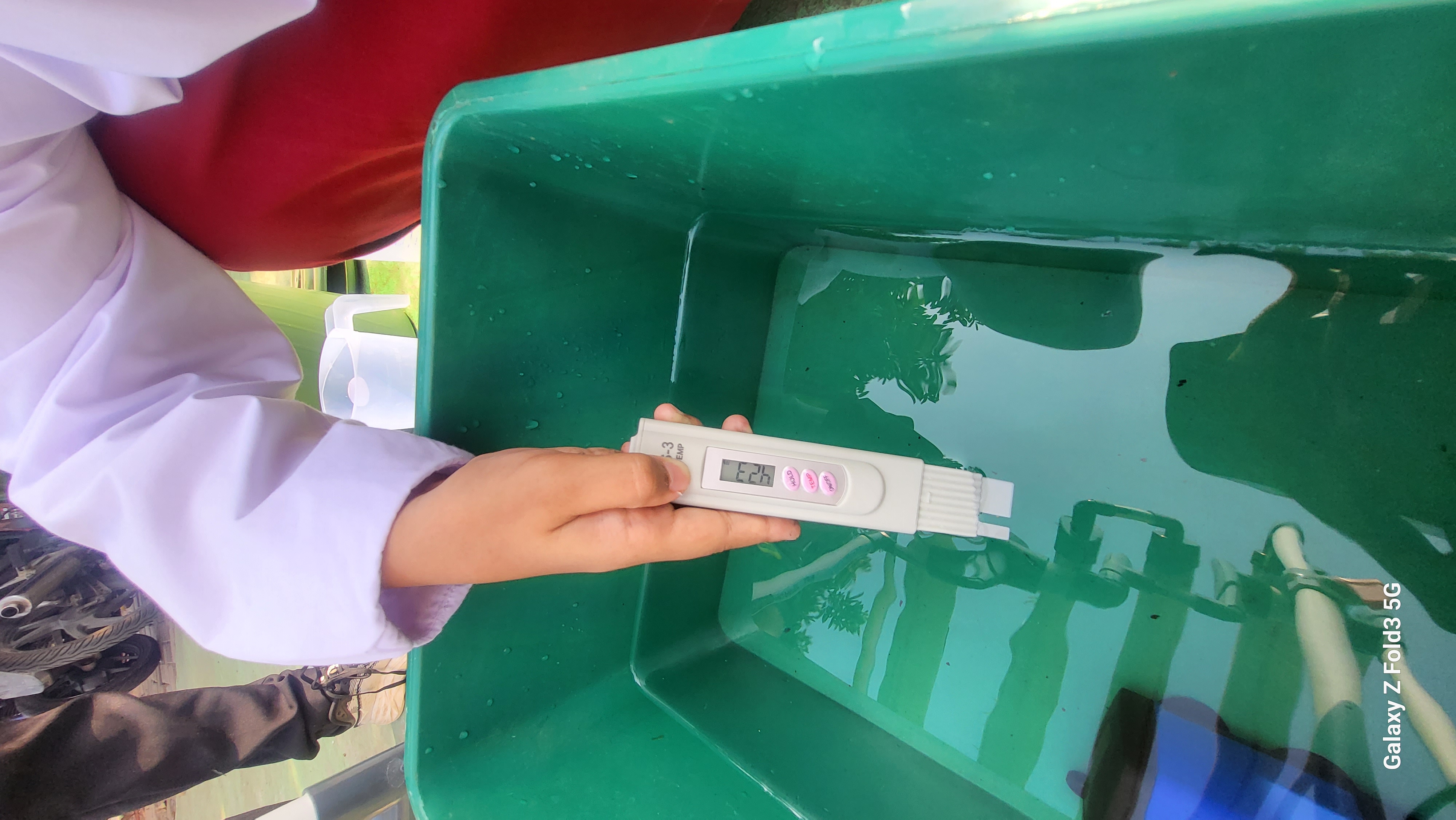 Lahan Urban Farming SDN Bintaro 09 - Gambar 174