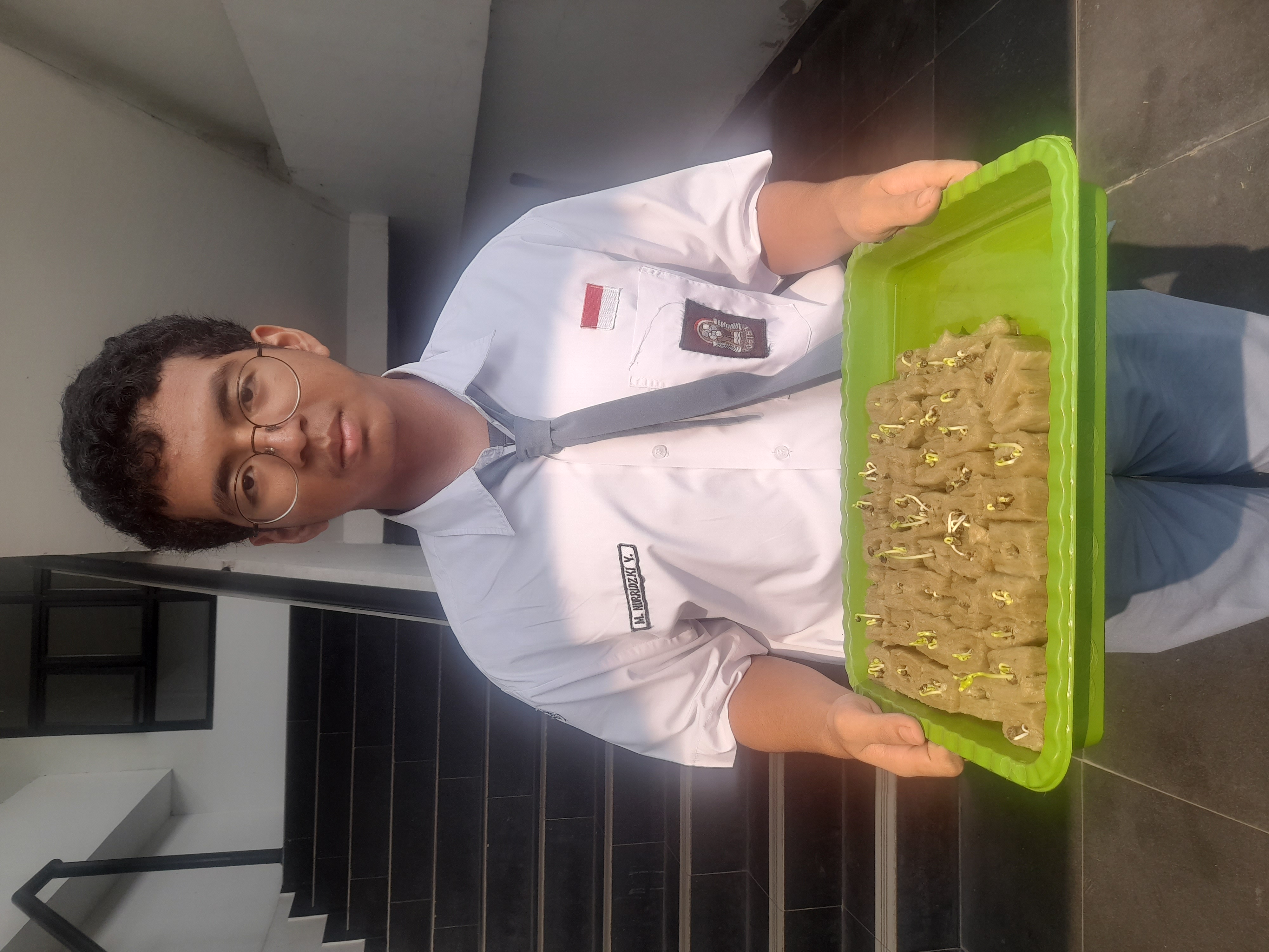 Lahan Urban Farming SMAN 116 Jakarta - Gambar 139