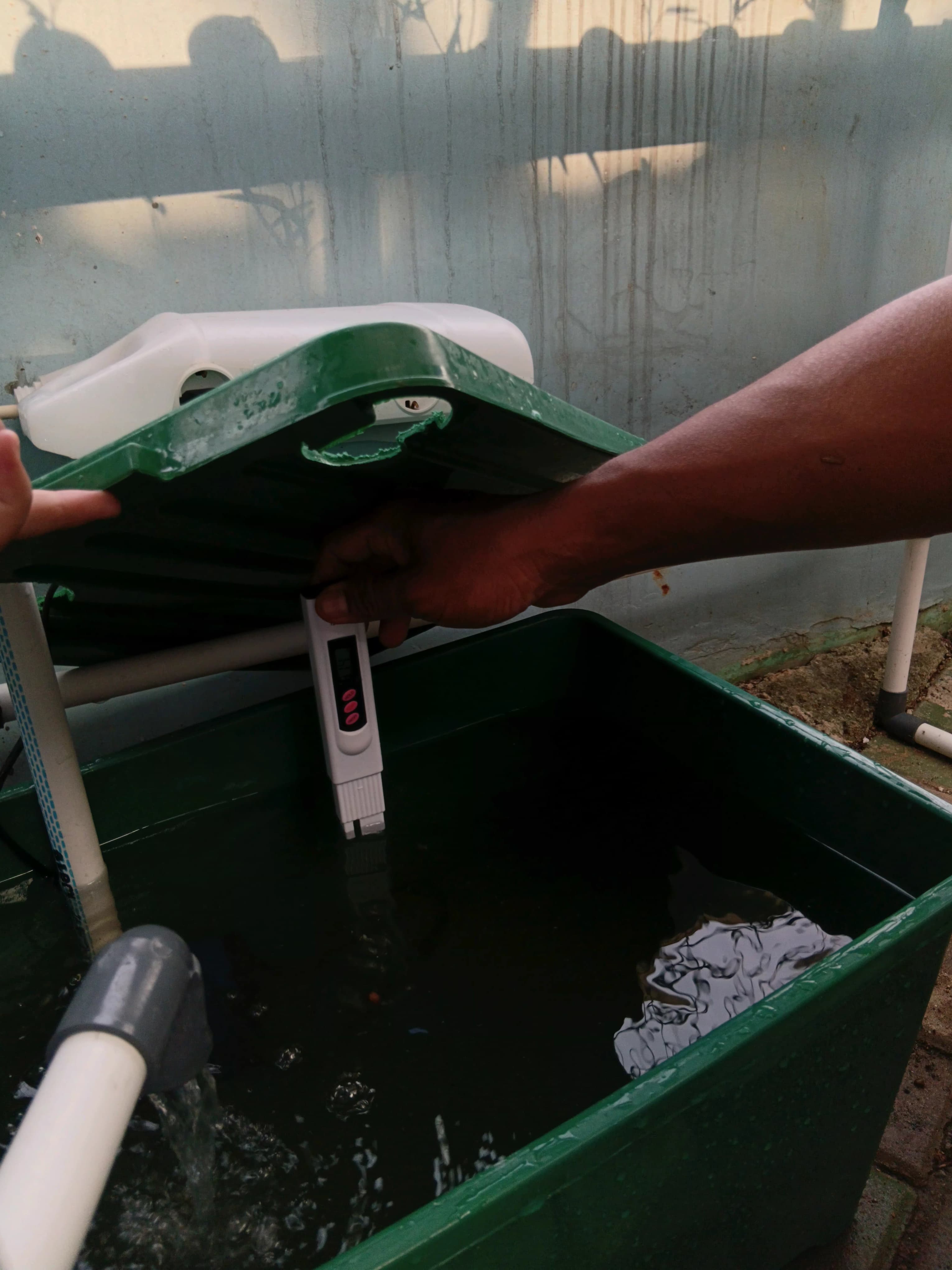 Lahan Urban Farming SMKN 43 Jakarta - Gambar 197