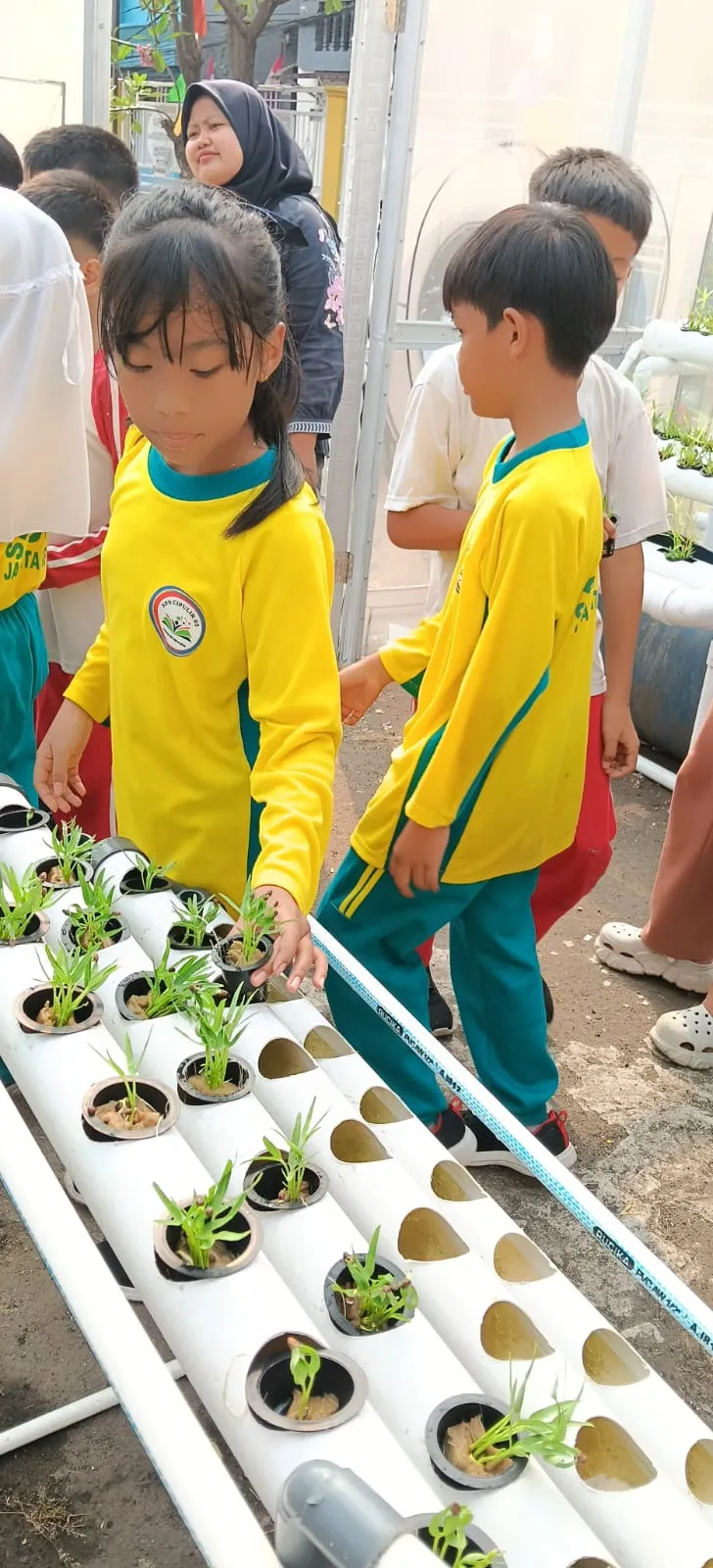 Lahan Urban Farming SDN Cipulir 03 - Gambar 71