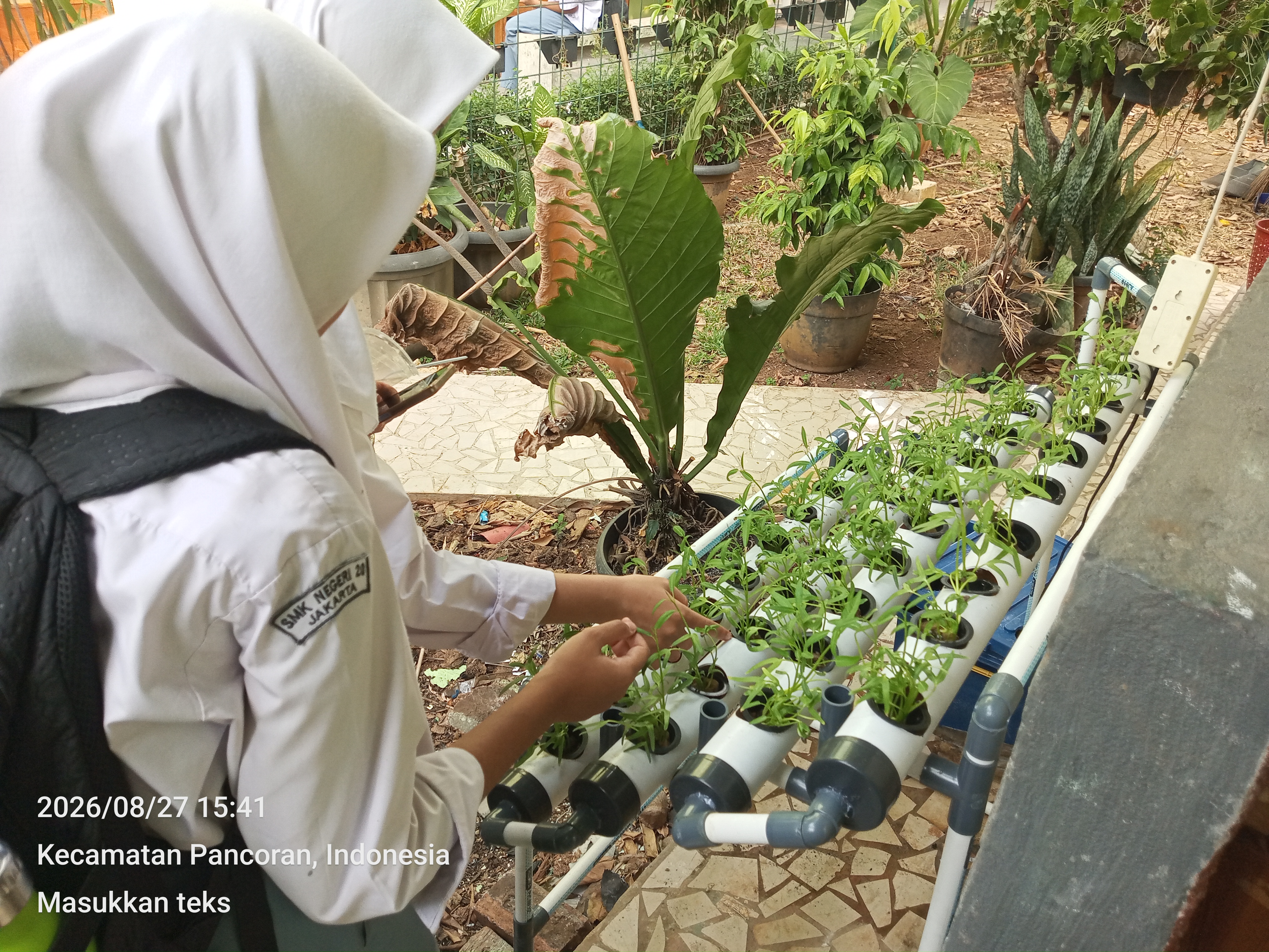 Lahan Urban Farming SMKN 20 Jakarta - Gambar 112