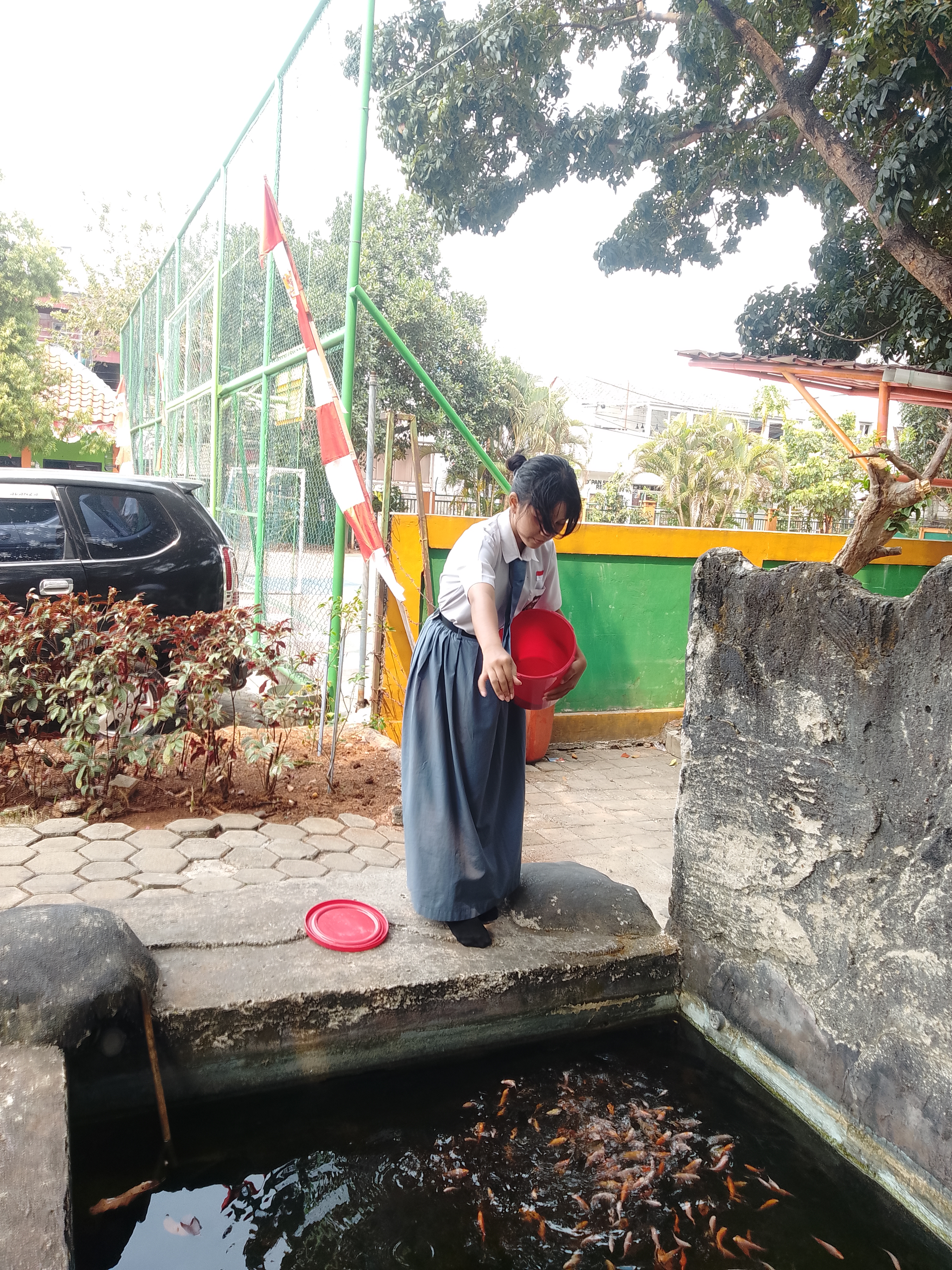 Lahan Urban Farming SMKN 59 Jakarta - Gambar 227
