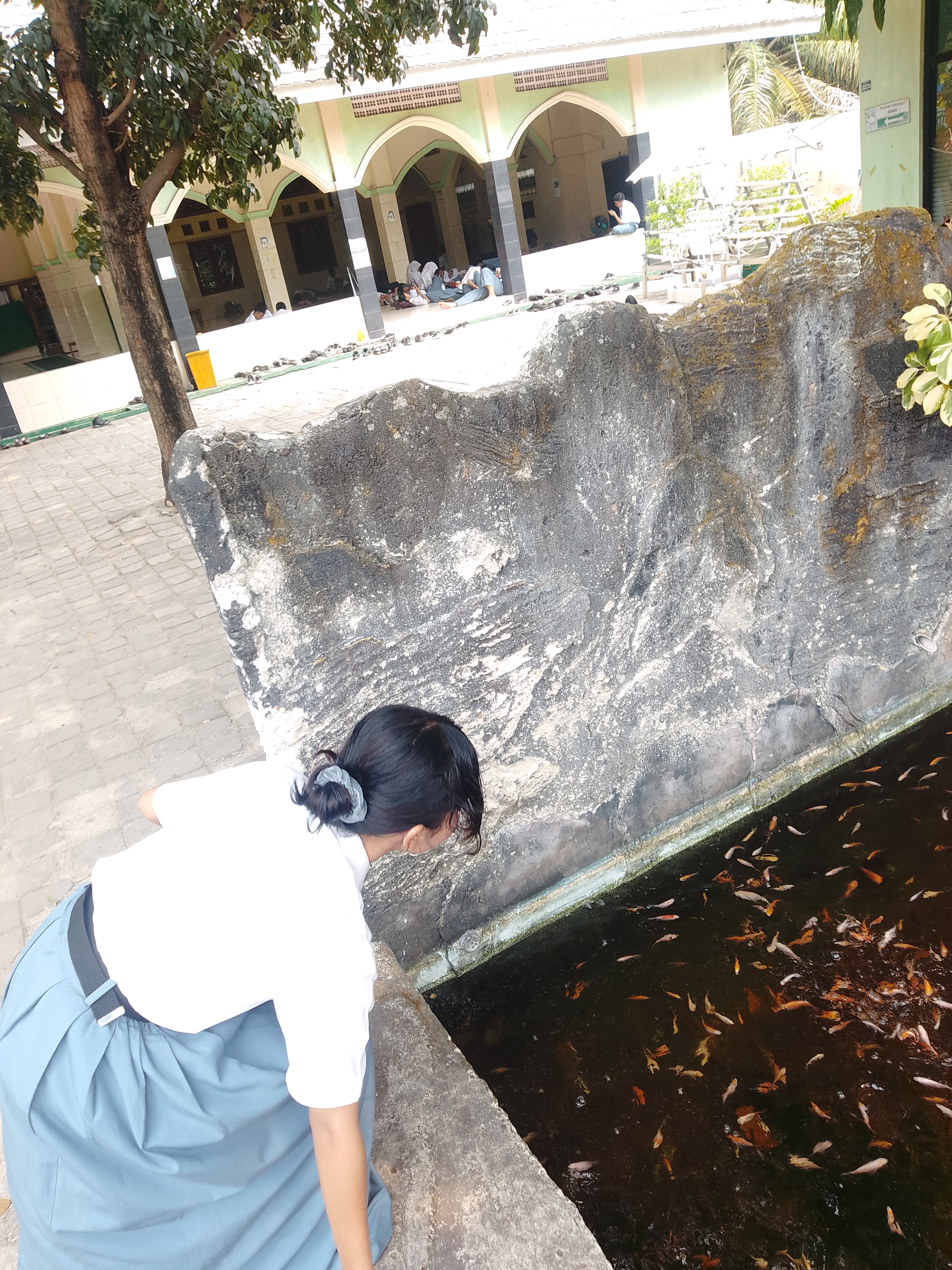 Lahan Urban Farming SMKN 59 Jakarta - Gambar 228