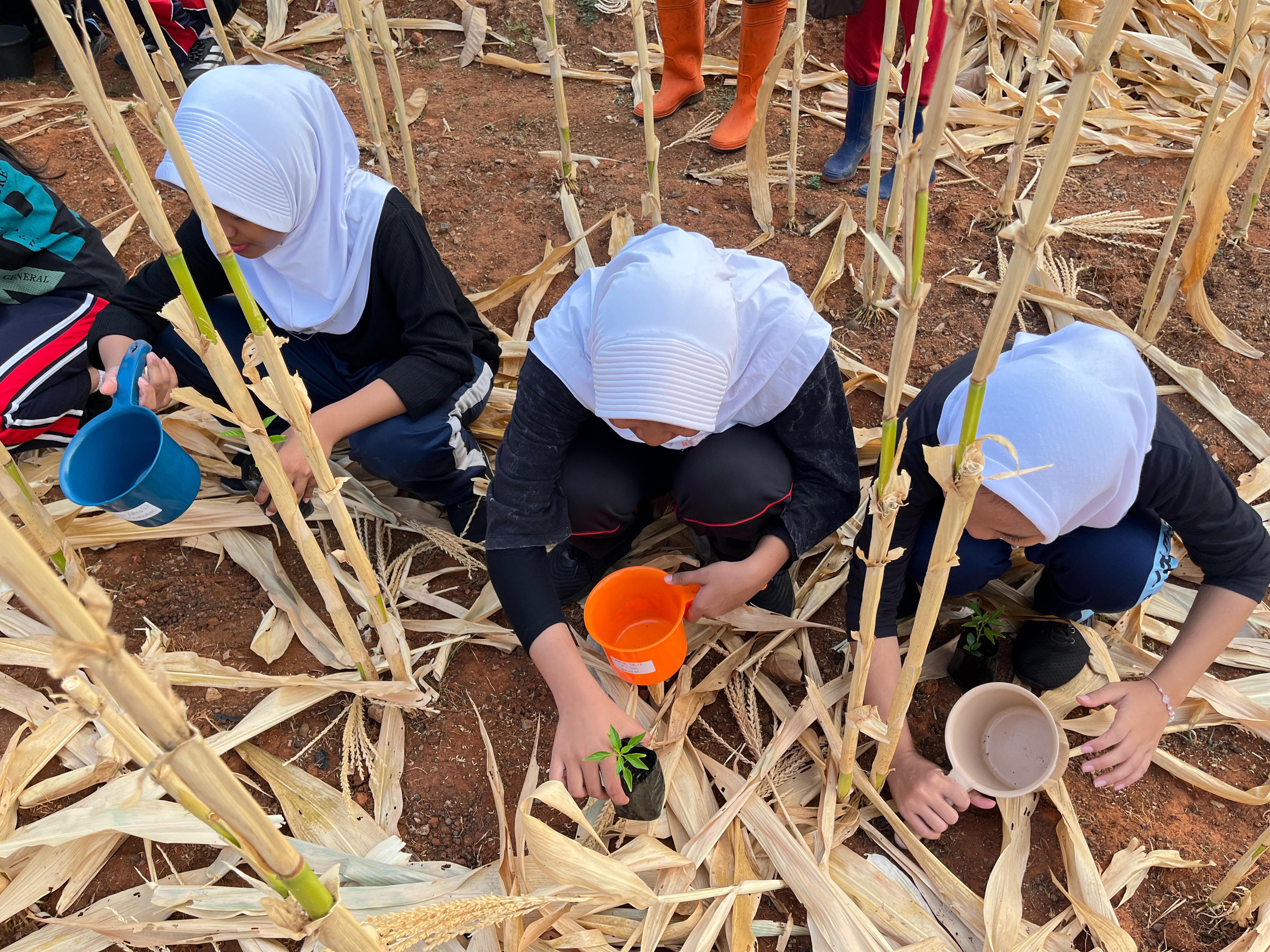 KEBUN SMKN 74 JAGAKARSA JAKARTA SELATAN - Gambar 316