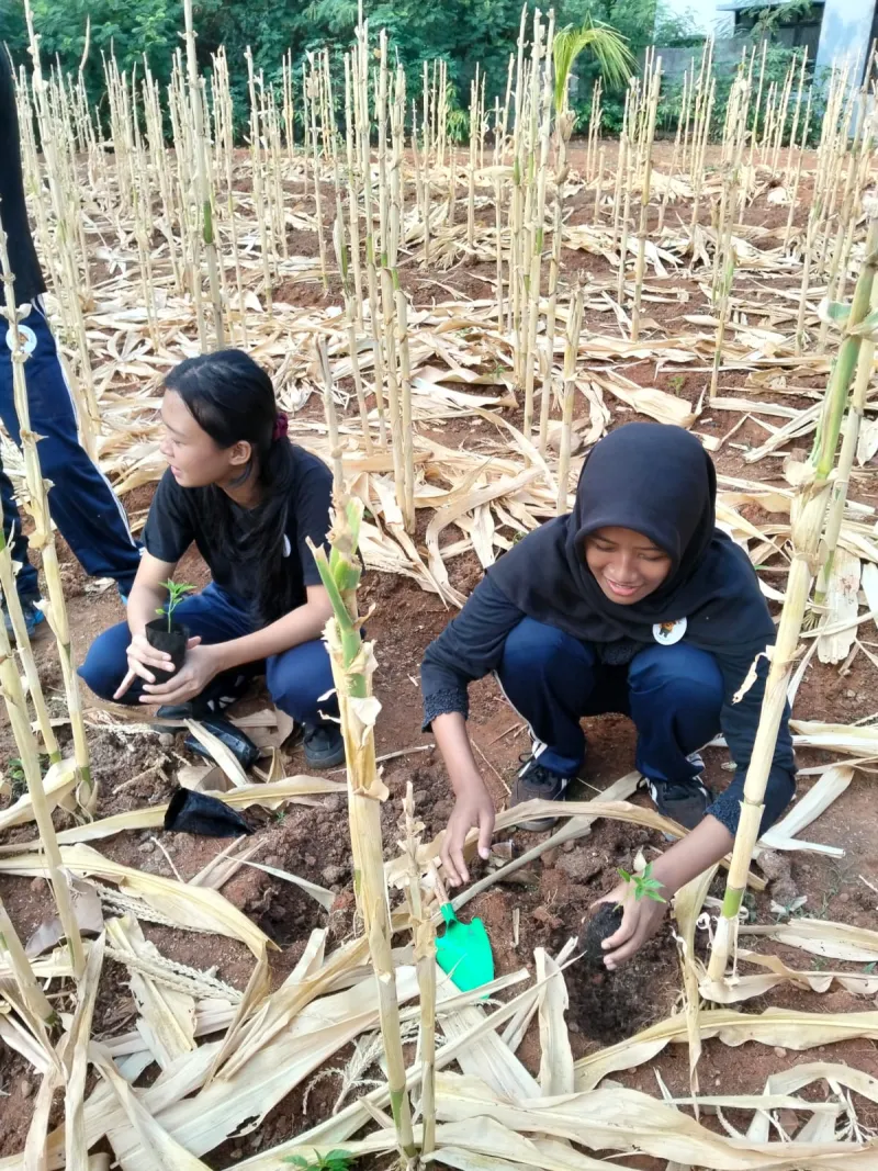 KEBUN SMKN 74 JAGAKARSA JAKARTA SELATAN - Gambar 314