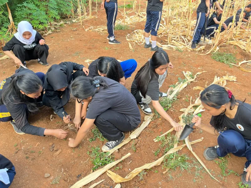 KEBUN SMKN 74 JAGAKARSA JAKARTA SELATAN - Gambar 311