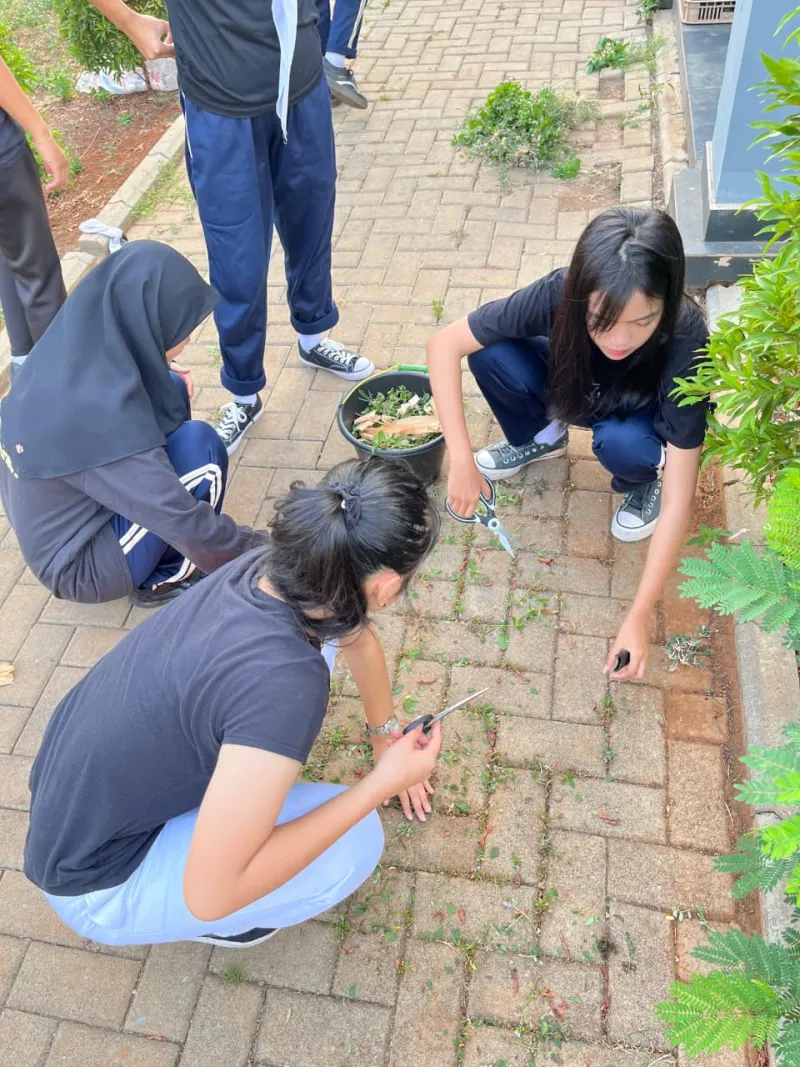 KEBUN SMKN 74 JAGAKARSA JAKARTA SELATAN - Gambar 312