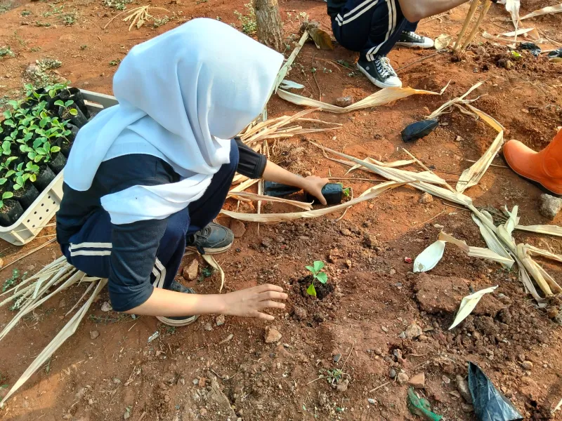 KEBUN SMKN 74 JAGAKARSA JAKARTA SELATAN - Gambar 305