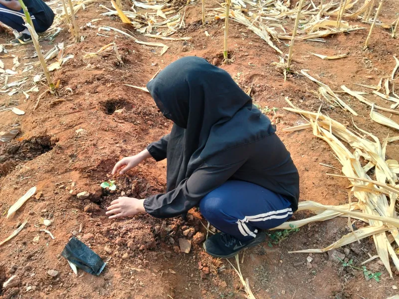 KEBUN SMKN 74 JAGAKARSA JAKARTA SELATAN - Gambar 306