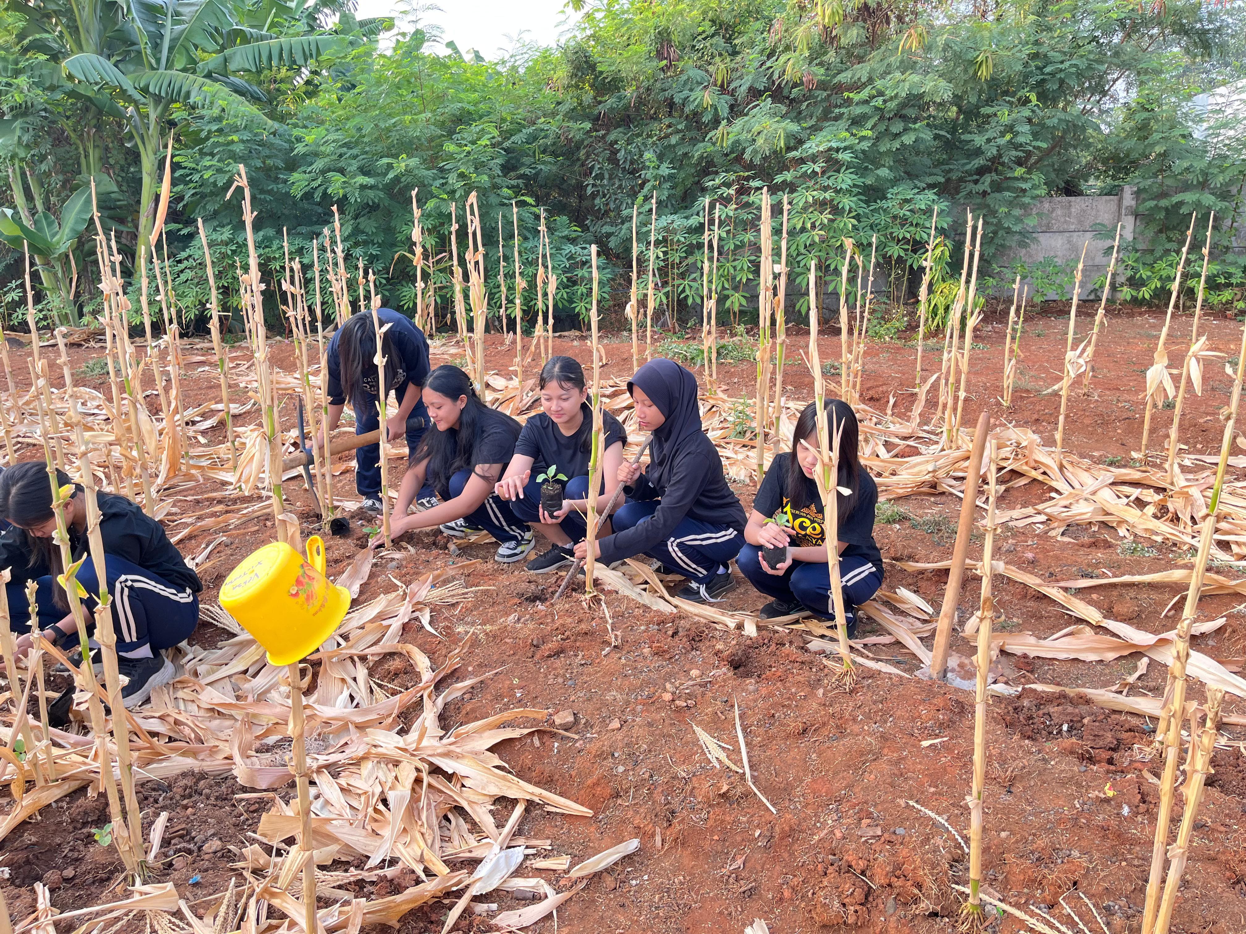 KEBUN SMKN 74 JAGAKARSA JAKARTA SELATAN - Gambar 304
