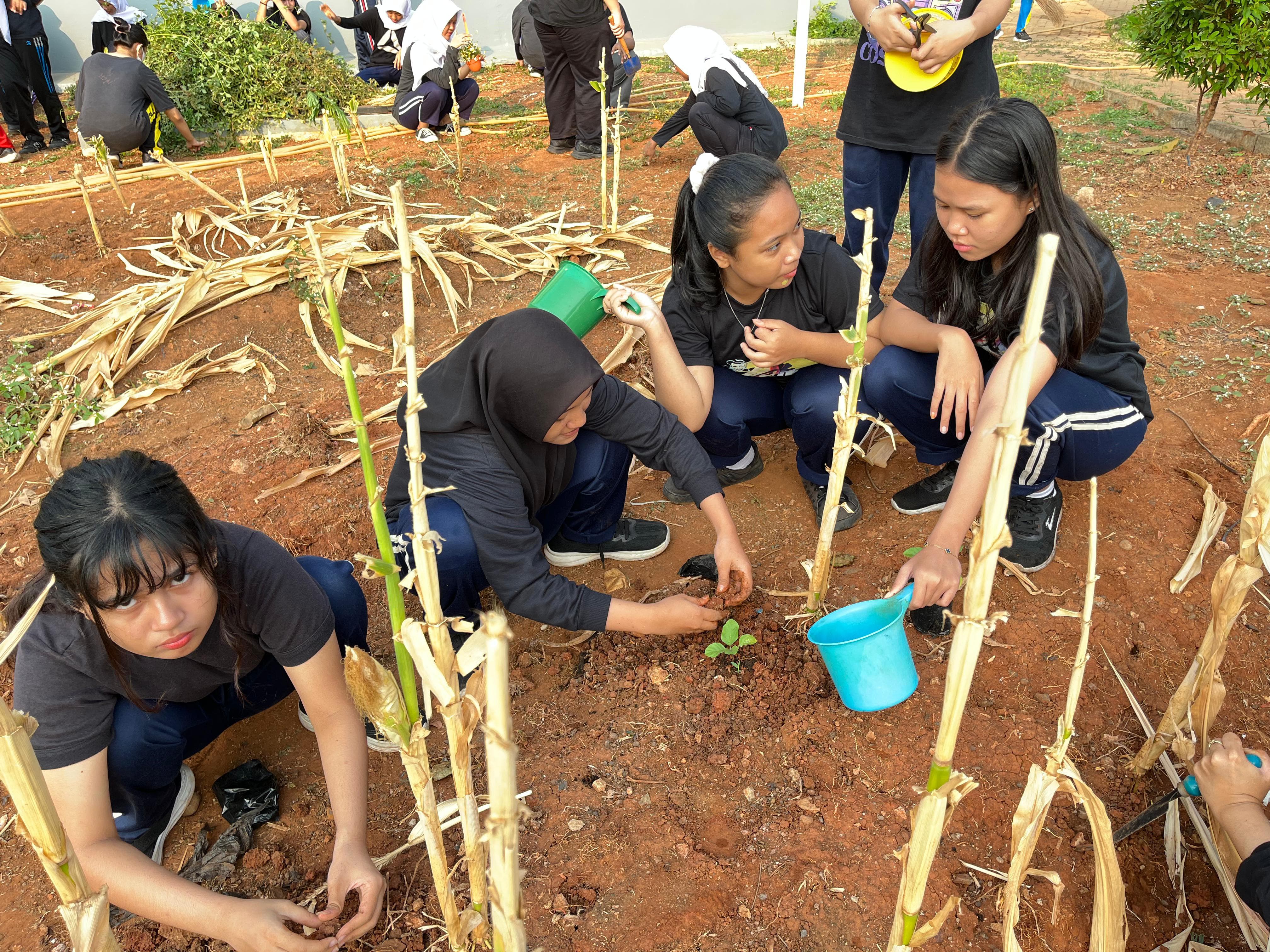 KEBUN SMKN 74 JAGAKARSA JAKARTA SELATAN - Gambar 308