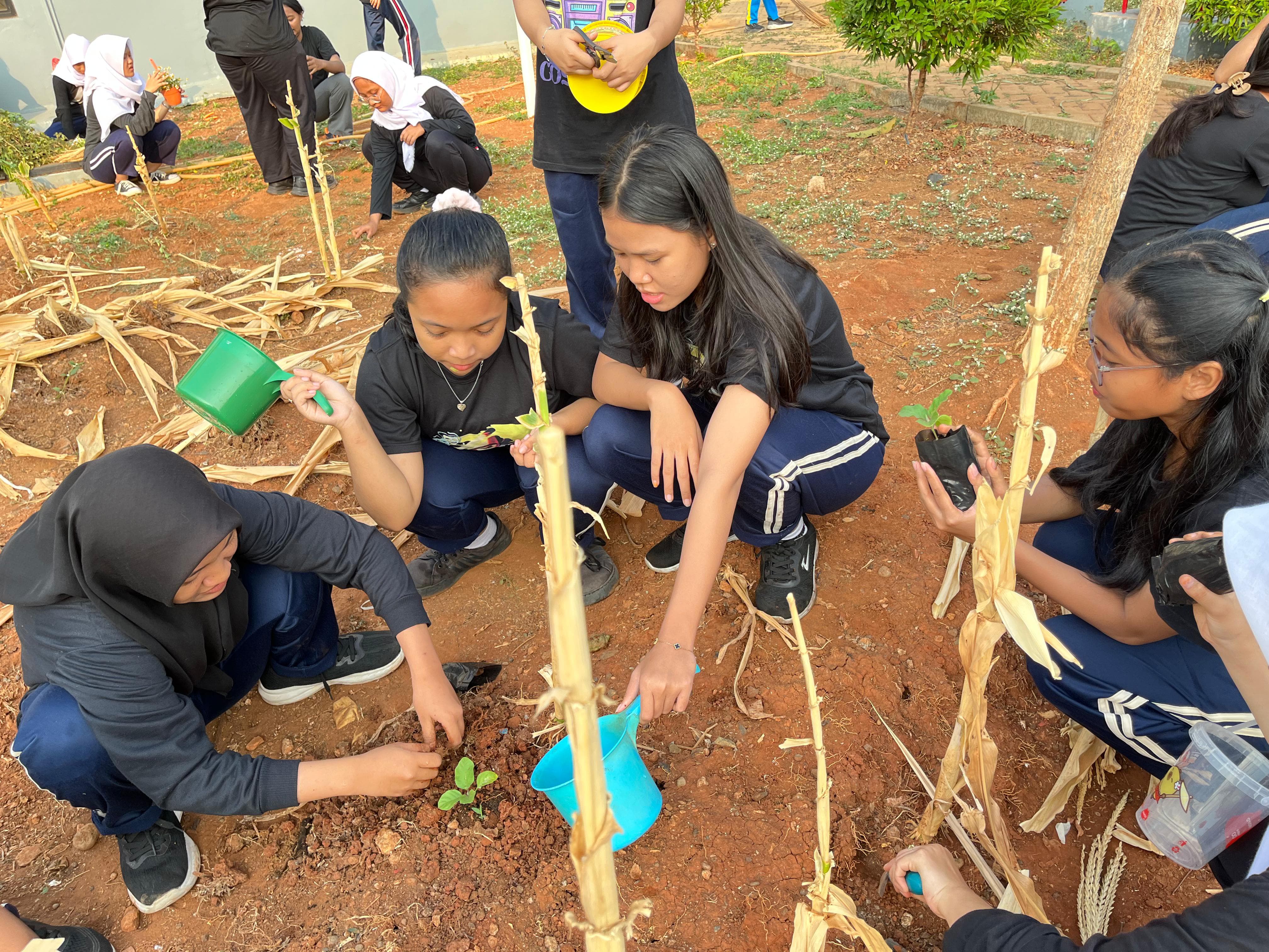 KEBUN SMKN 74 JAGAKARSA JAKARTA SELATAN - Gambar 307