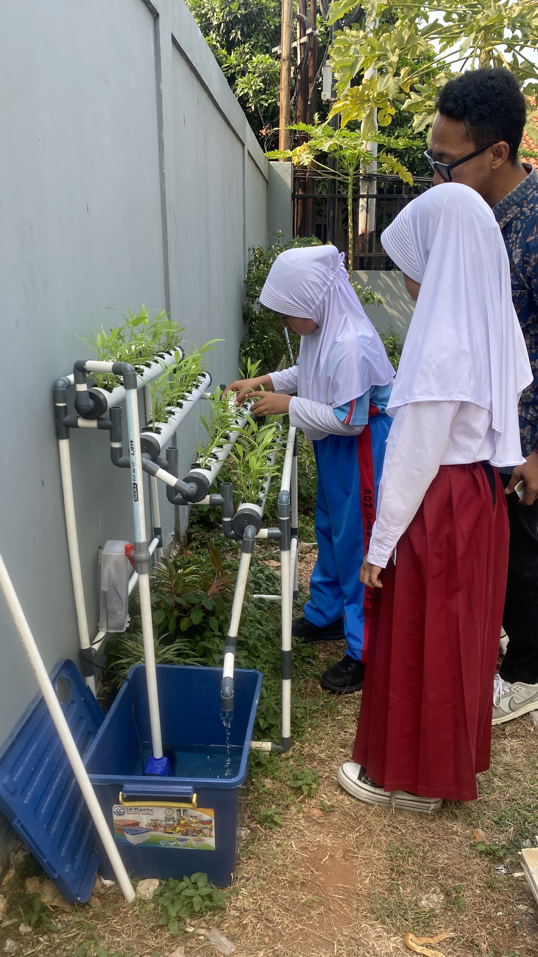 Lahan Urban Farming SDN Cipete Selatan 03 - Gambar 113