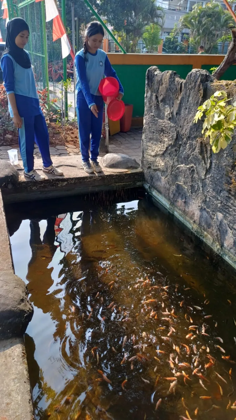 Lahan Urban Farming SMKN 59 Jakarta - Gambar 225